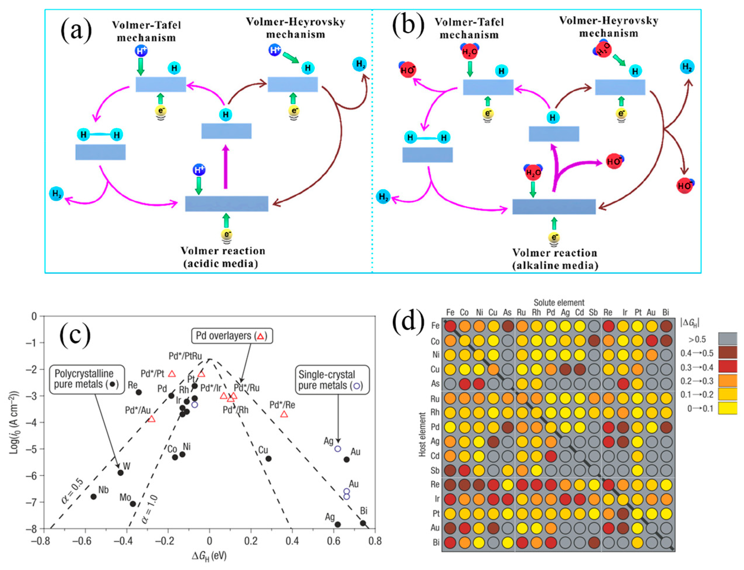 Nanomaterials 14 00239 g001