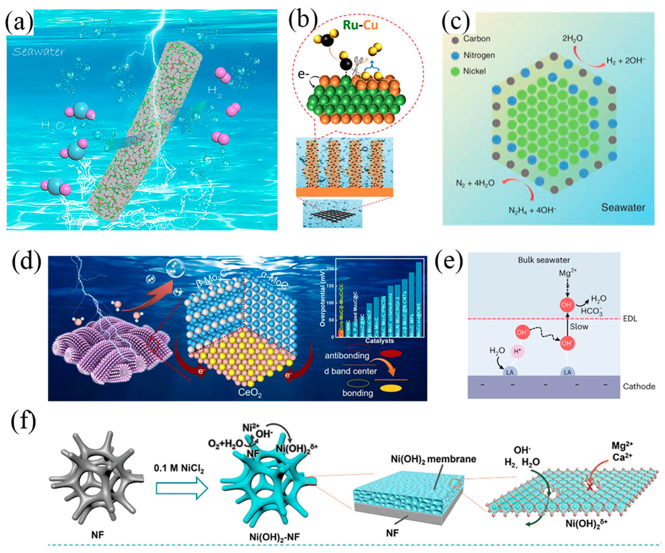 Nanomaterials 14 00239 g003