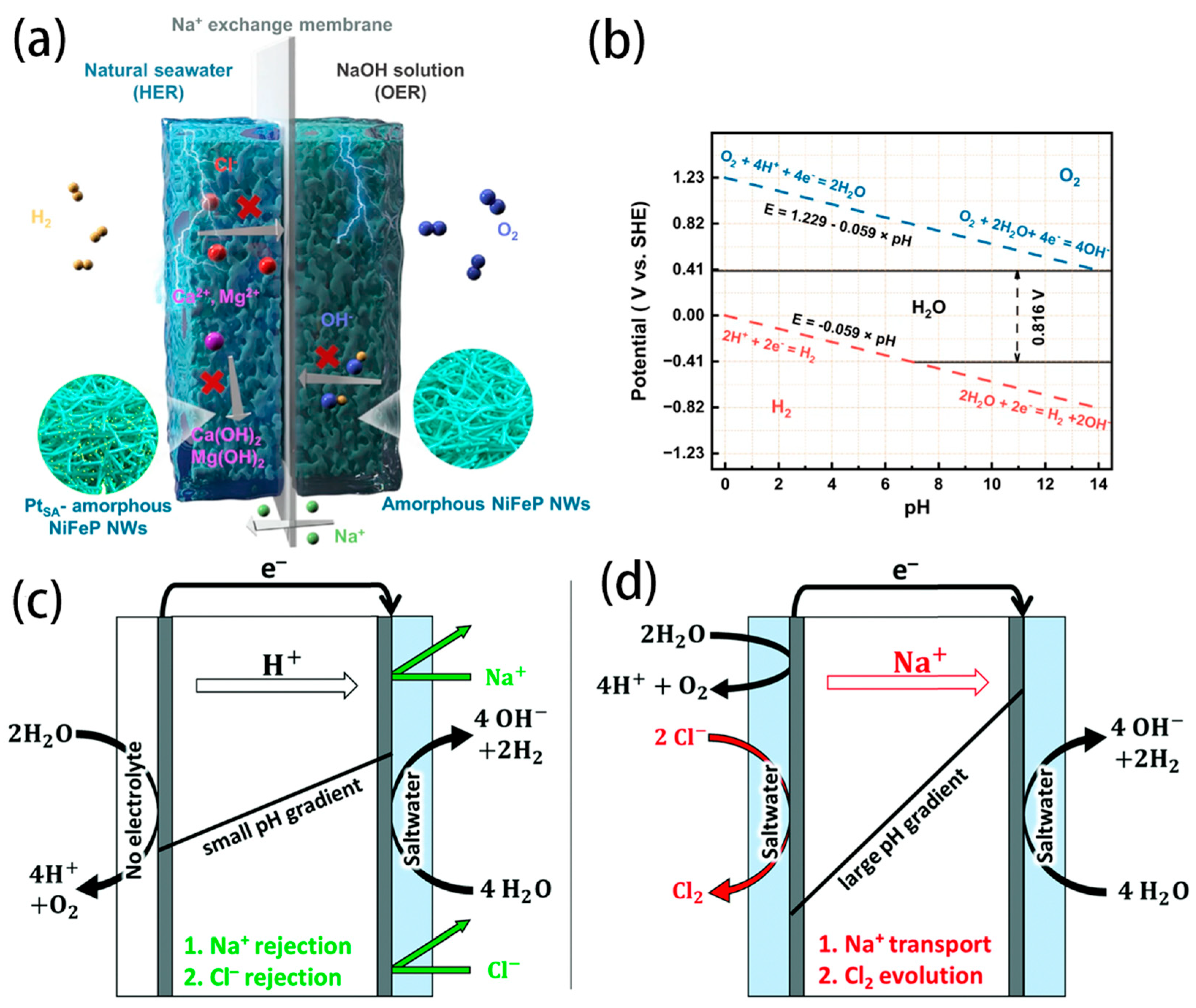 Nanomaterials 14 00239 g009