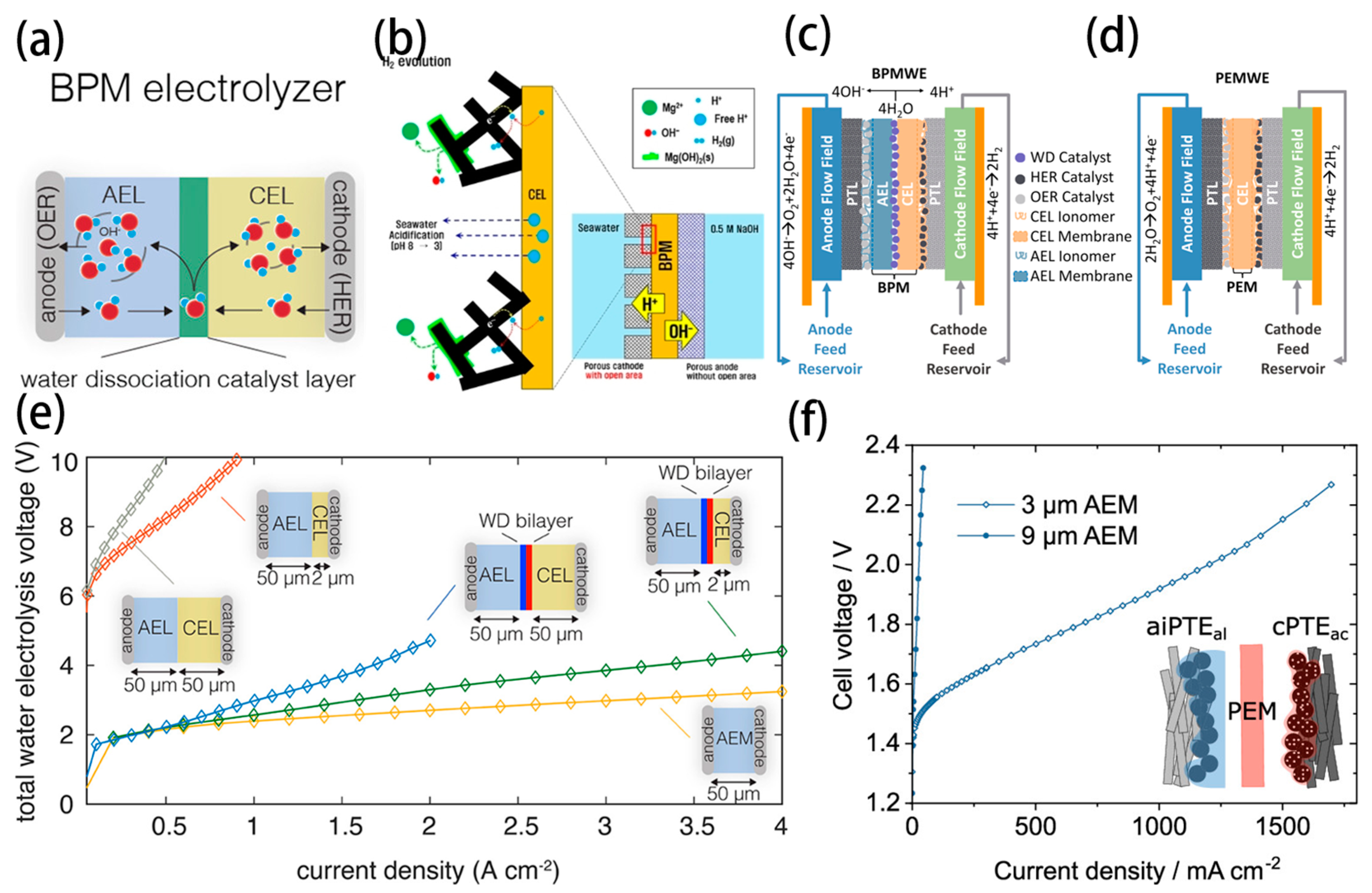 Nanomaterials 14 00239 g011