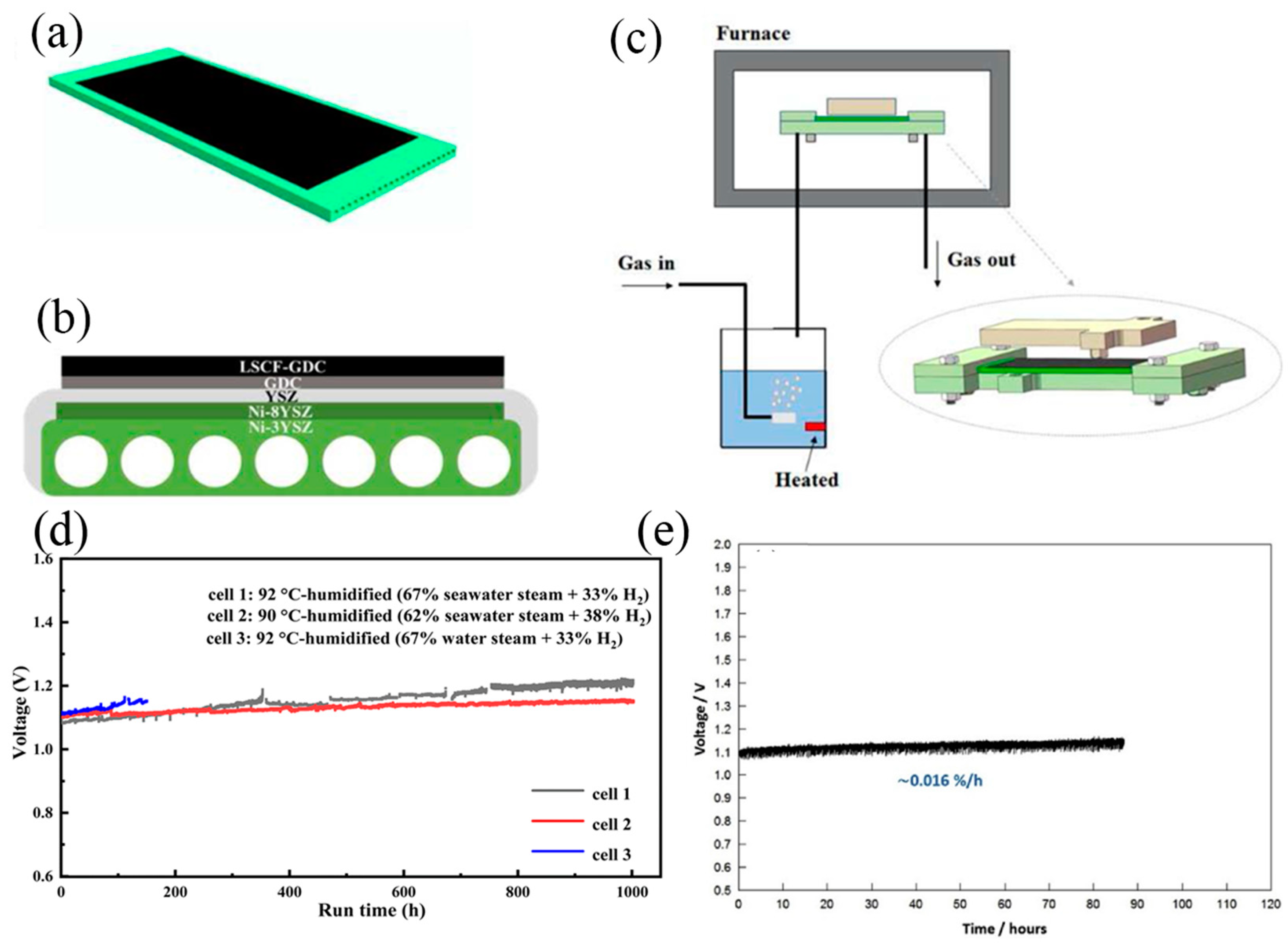 Nanomaterials 14 00239 g012