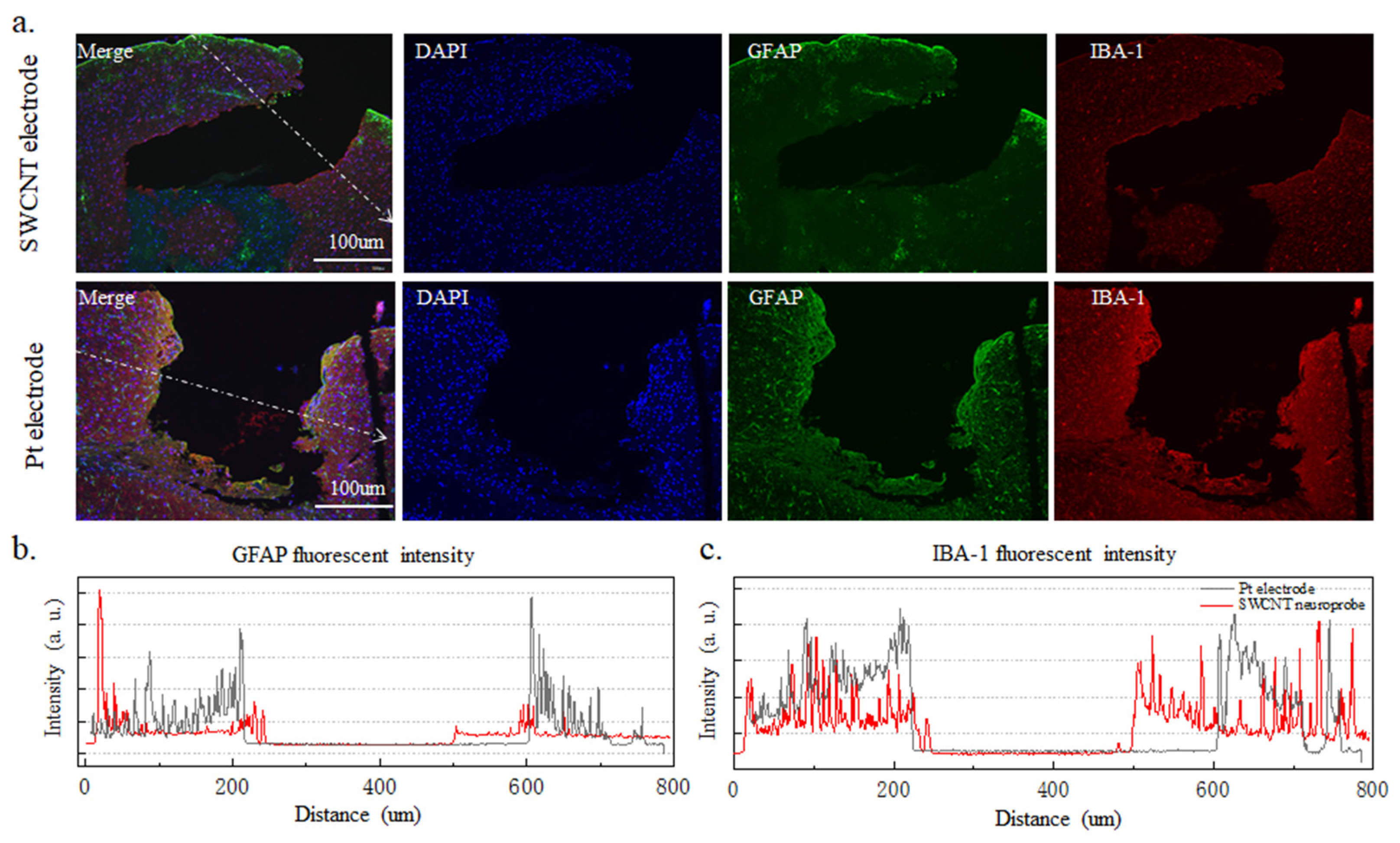 Nanomaterials 14 00240 g007