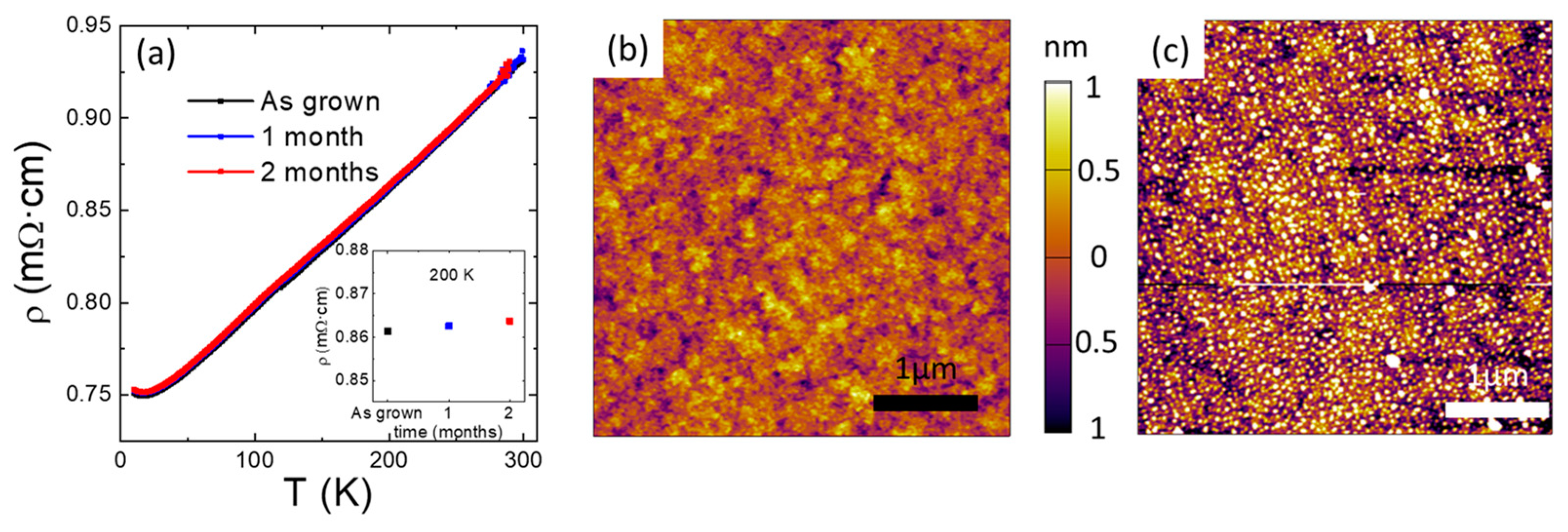 Nanomaterials 14 00242 g006