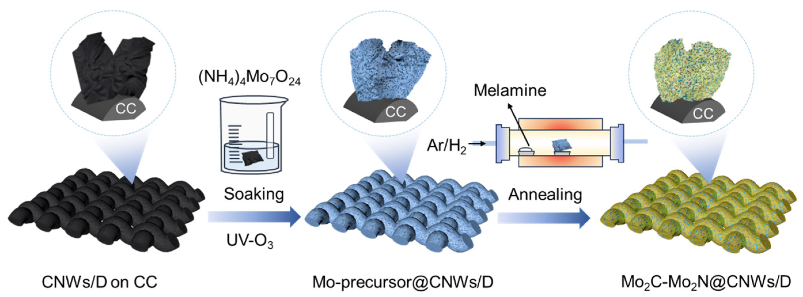 Nanomaterials 14 00243 g001