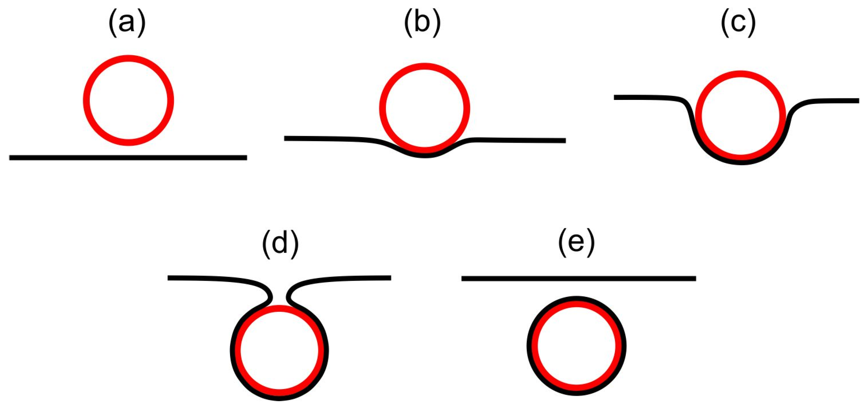 Nanomaterials 14 00246 g006 Nanomaterials 14 00246 g006