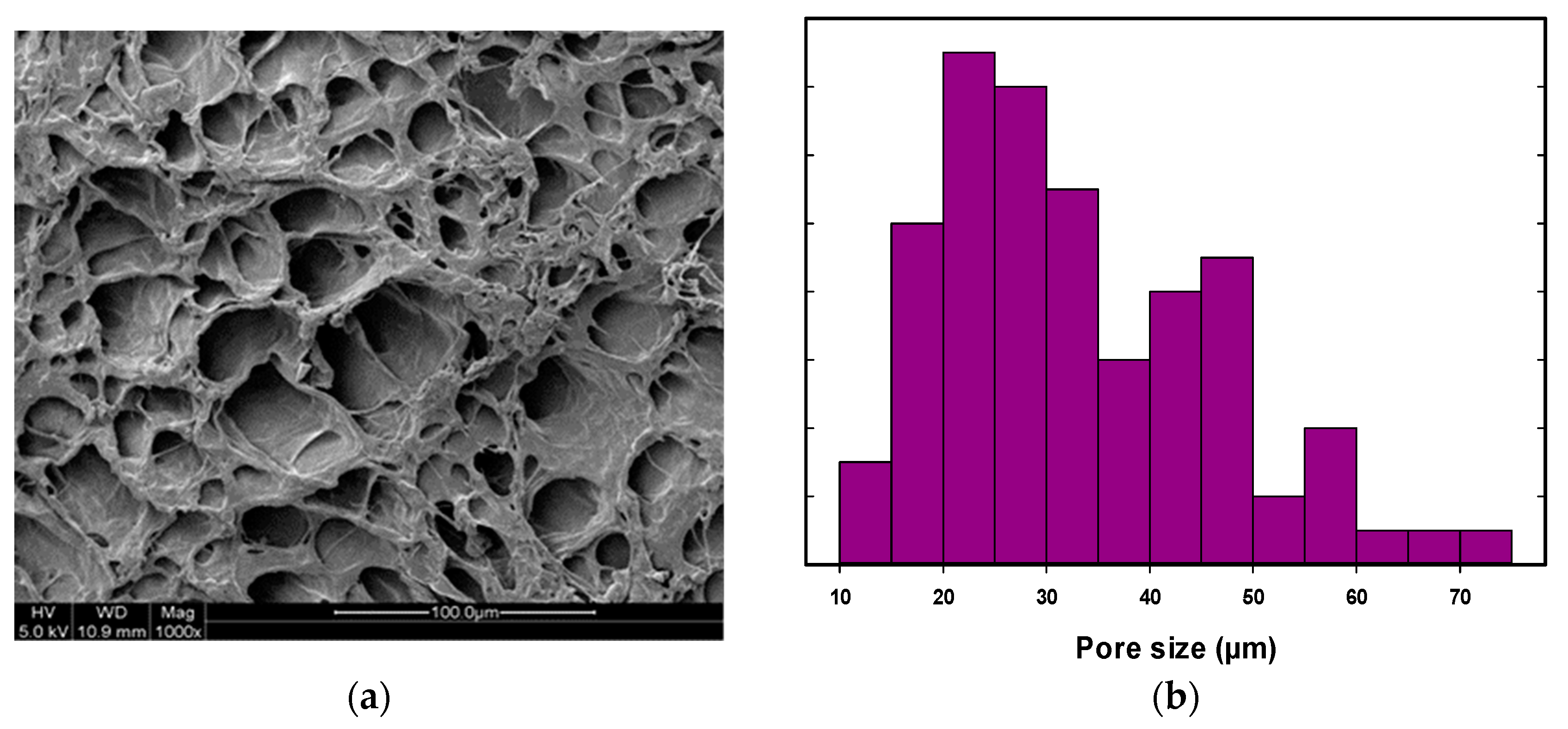 Nanomaterials 14 00249 g001 Nanomaterials 14 00249 g001