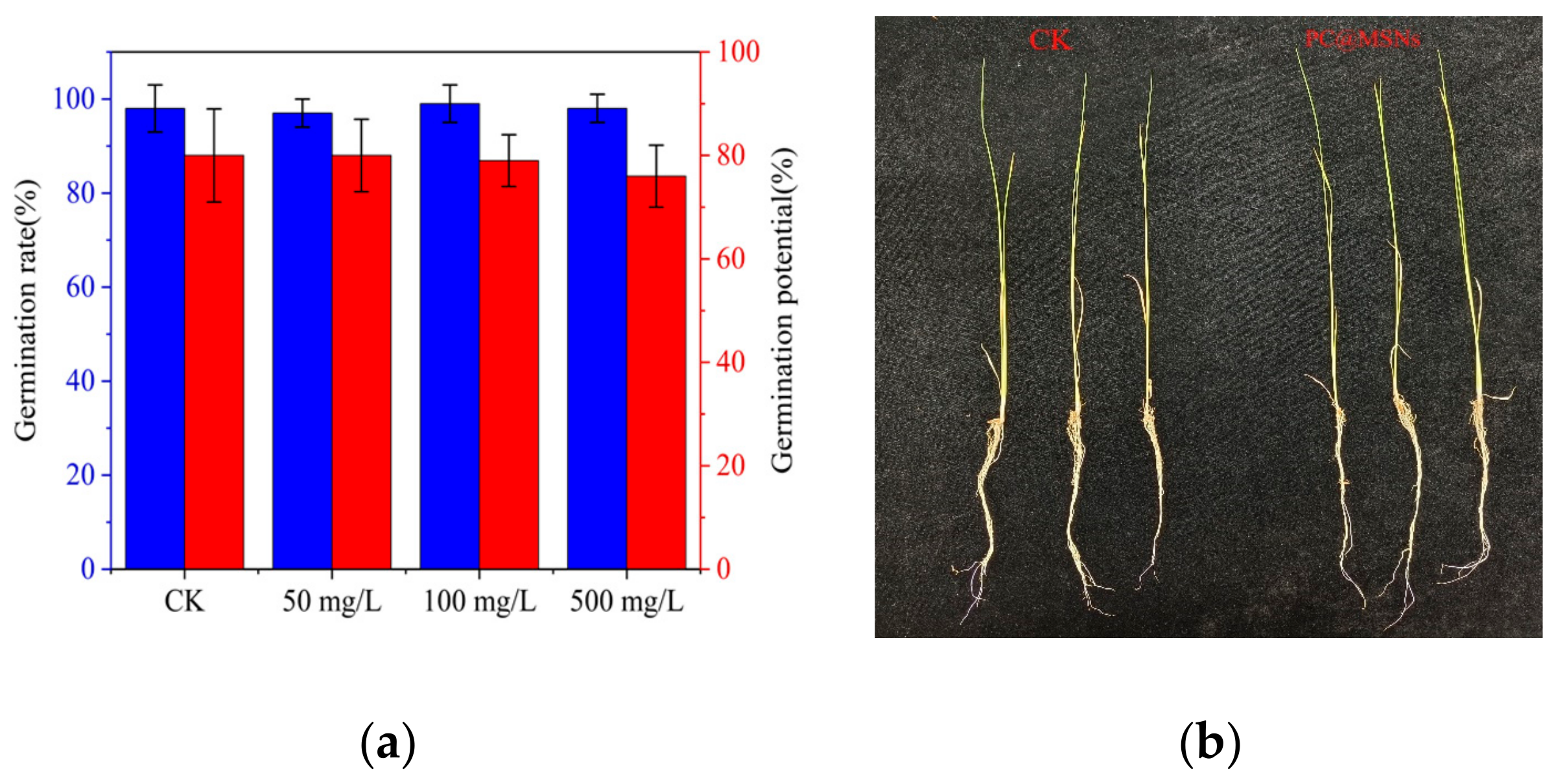 Nanomaterials 14 00250 g008