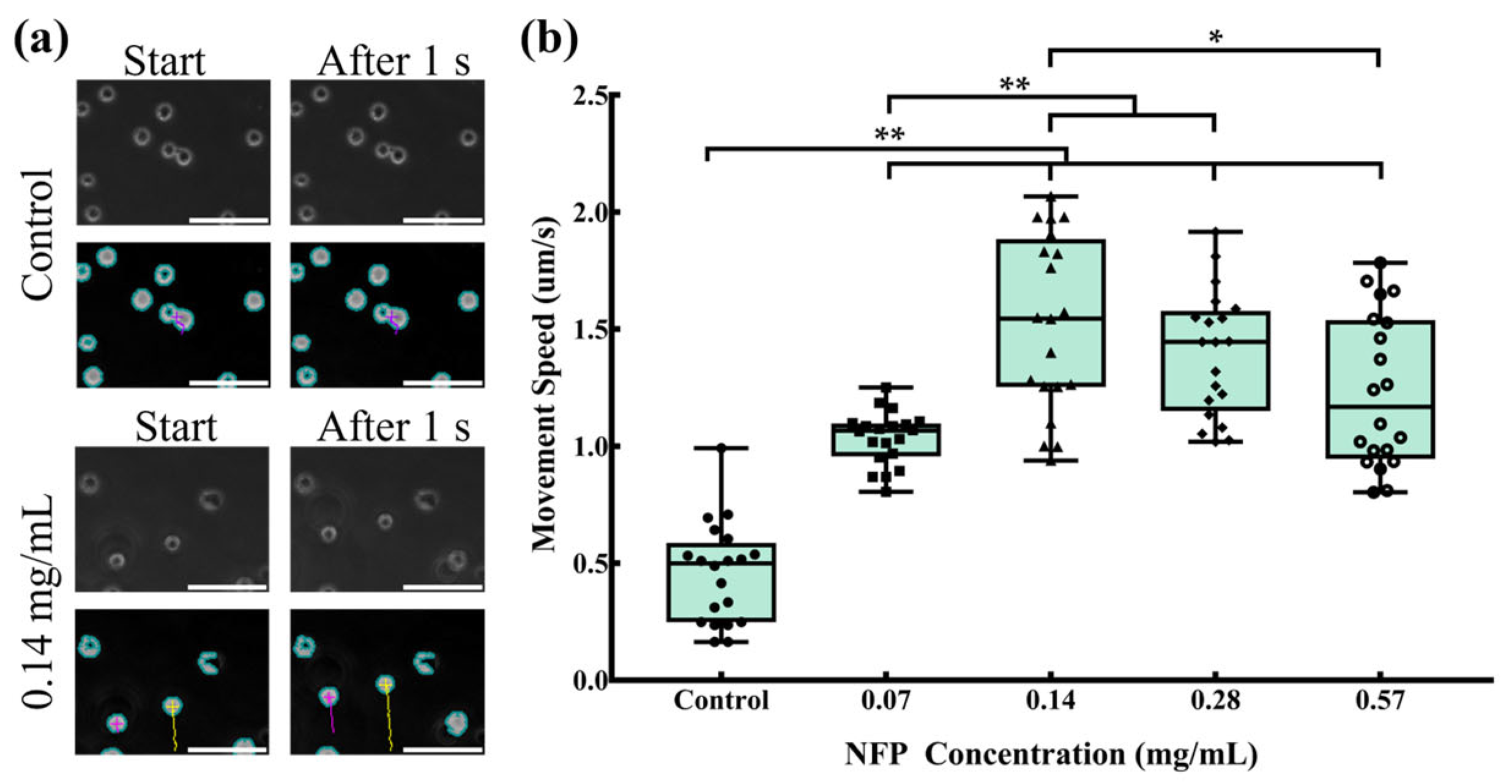 Nanomaterials 14 00251 g006