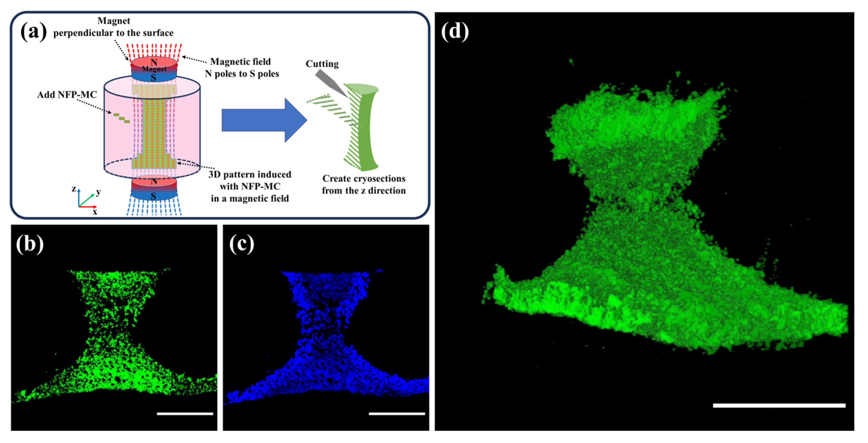 Nanomaterials 14 00251 g007