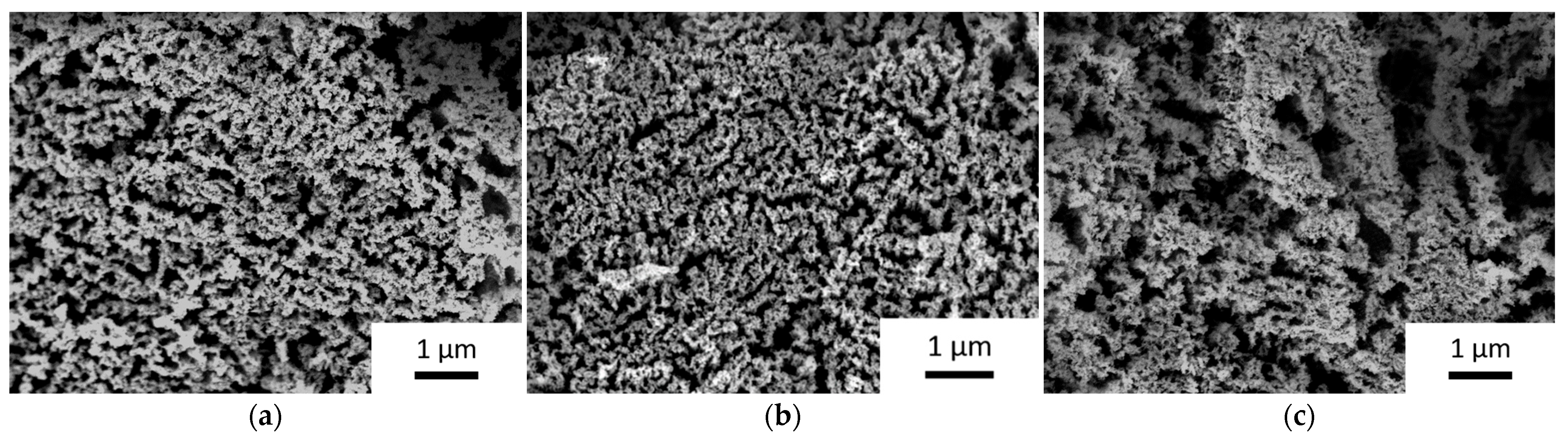 Nanomaterials 14 00252 g004