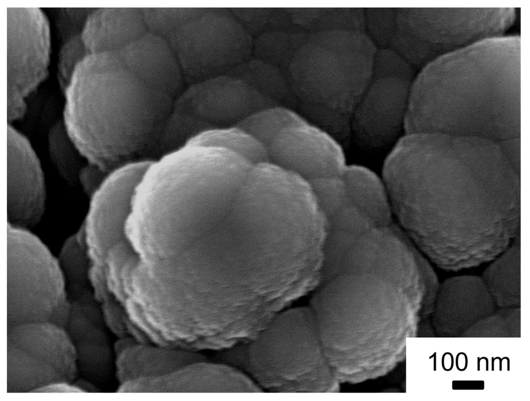 Nanomaterials 14 00252 g007