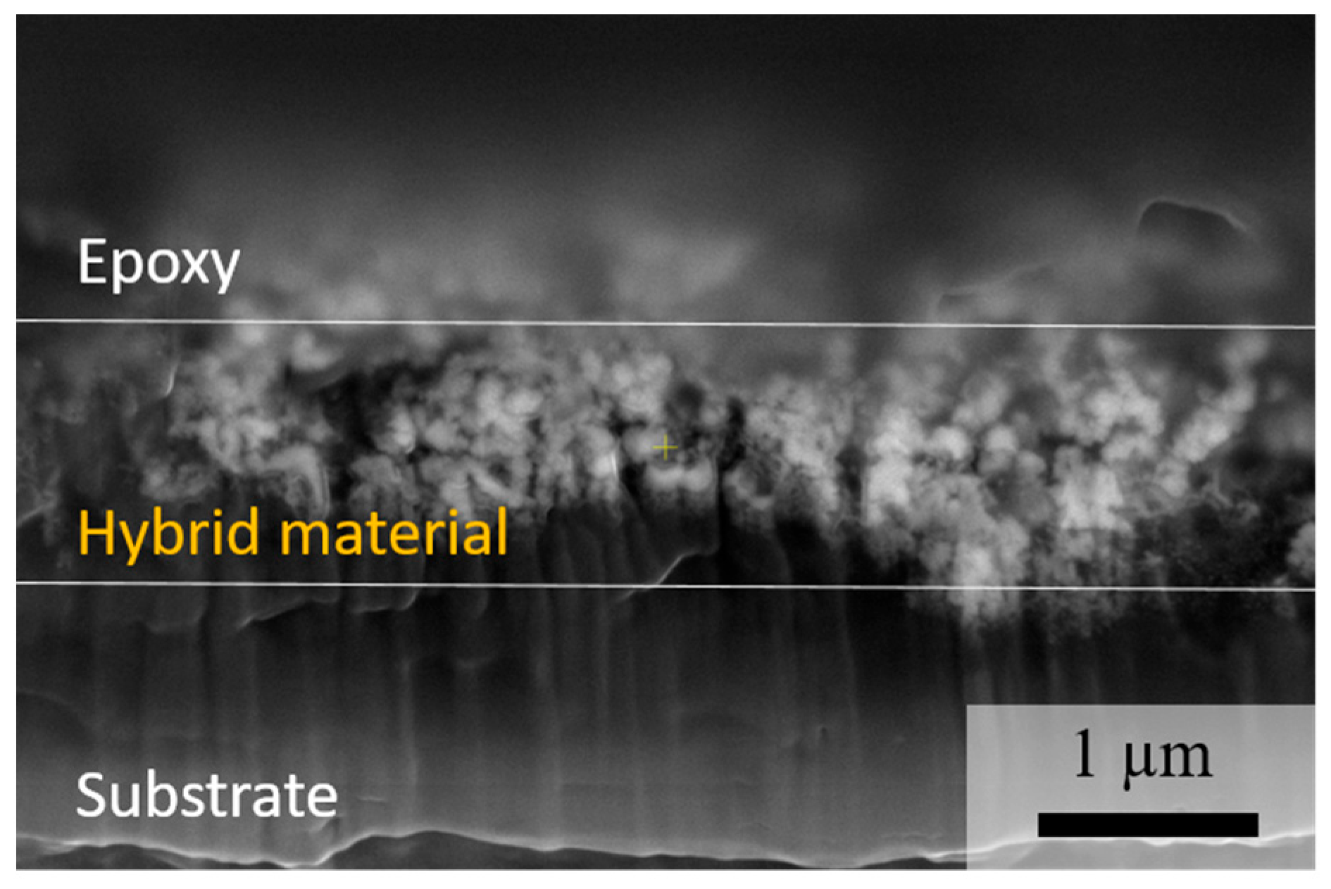 Nanomaterials 14 00252 g009