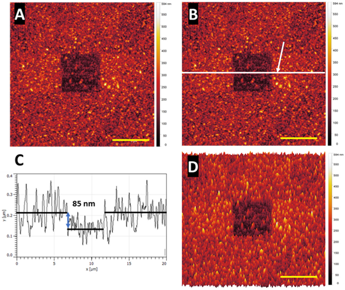 Nanomaterials 14 00253 g003