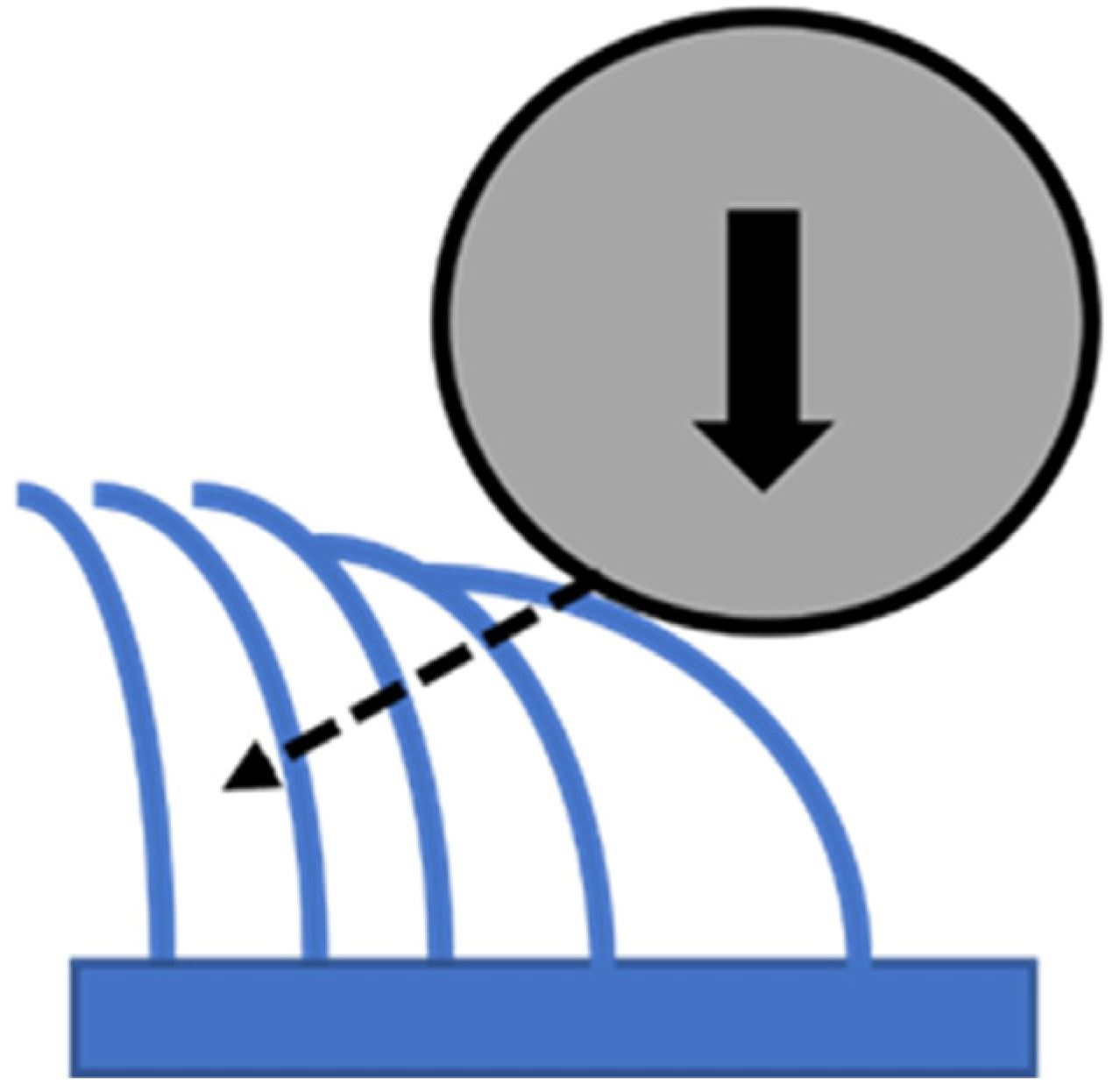 Nanomaterials 14 00253 sch001