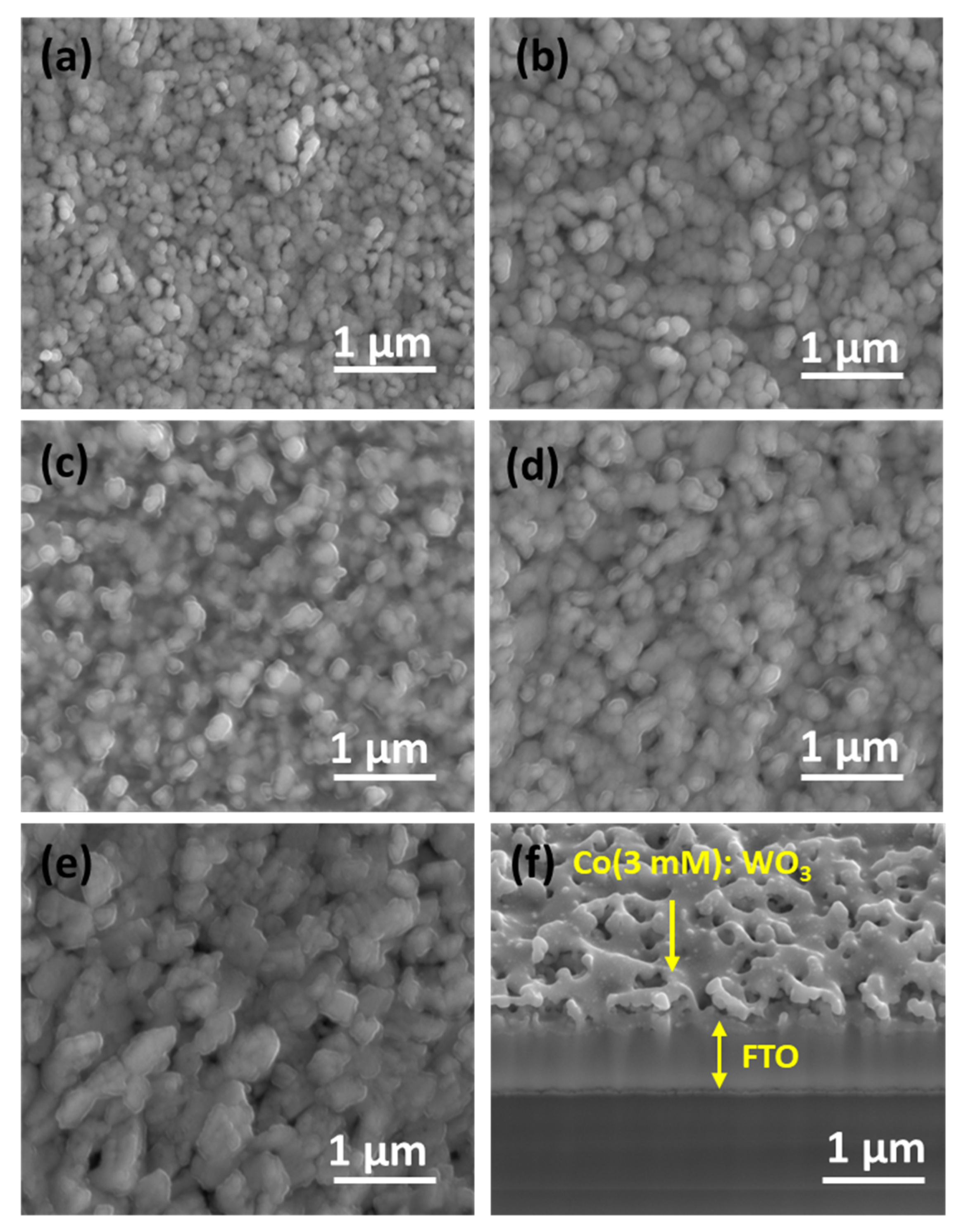 Nanomaterials 14 00259 g005a