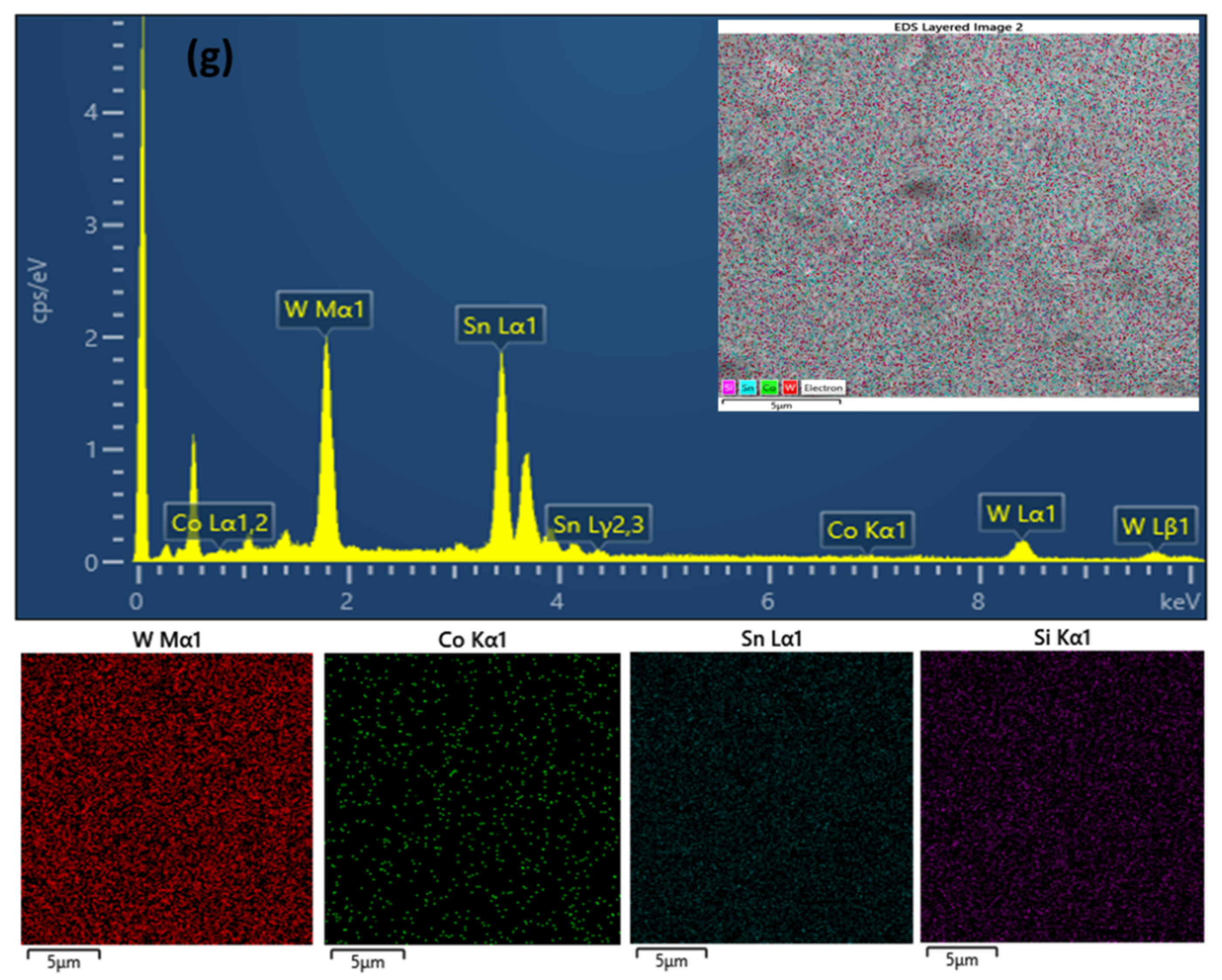 Nanomaterials 14 00259 g005b