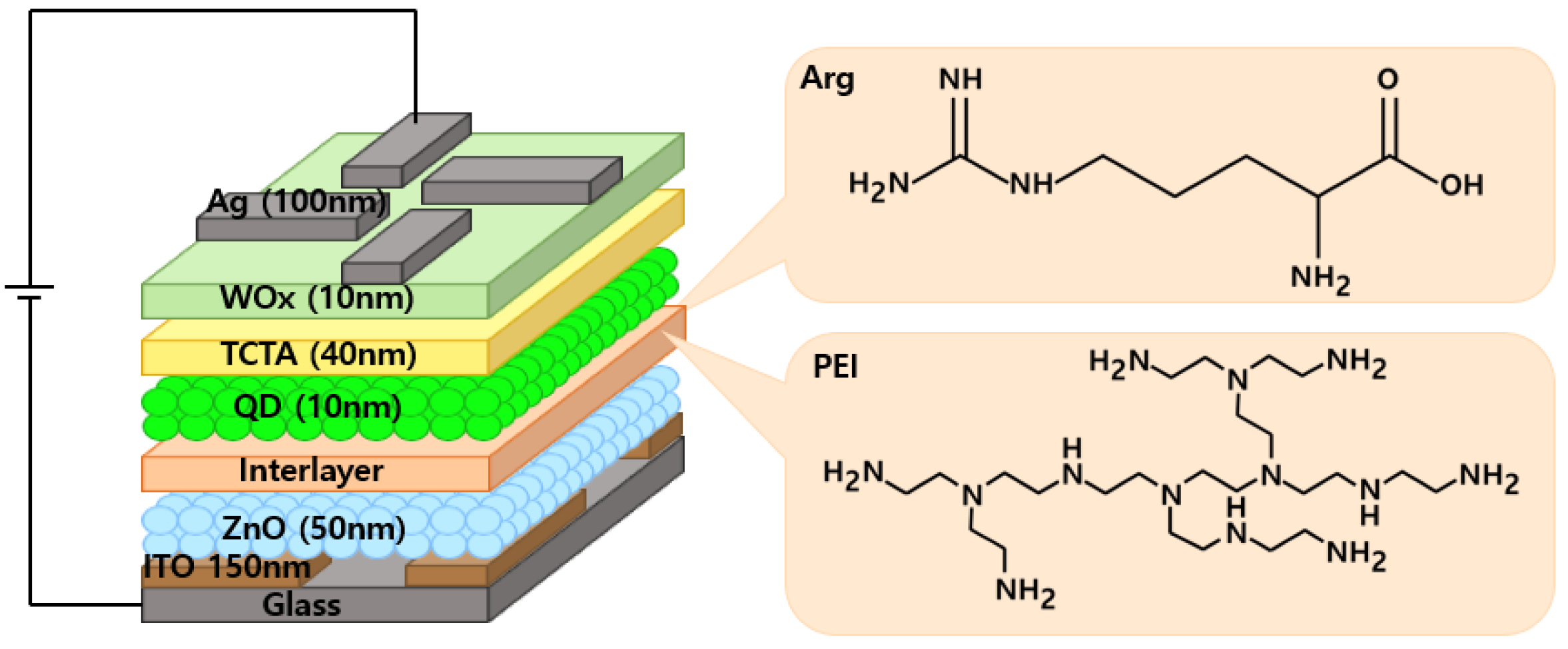 Nanomaterials 14 00266 g001