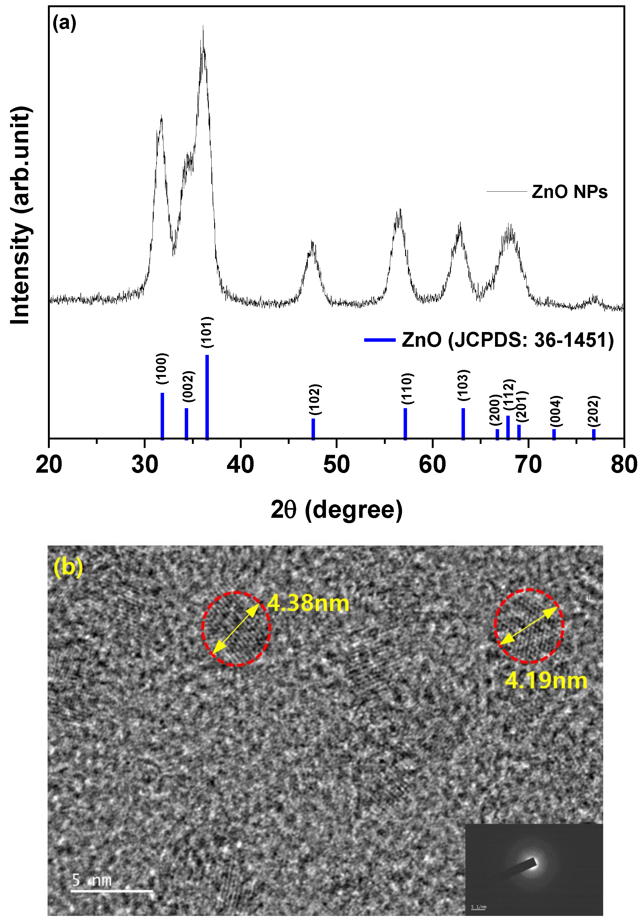 Nanomaterials 14 00266 g002