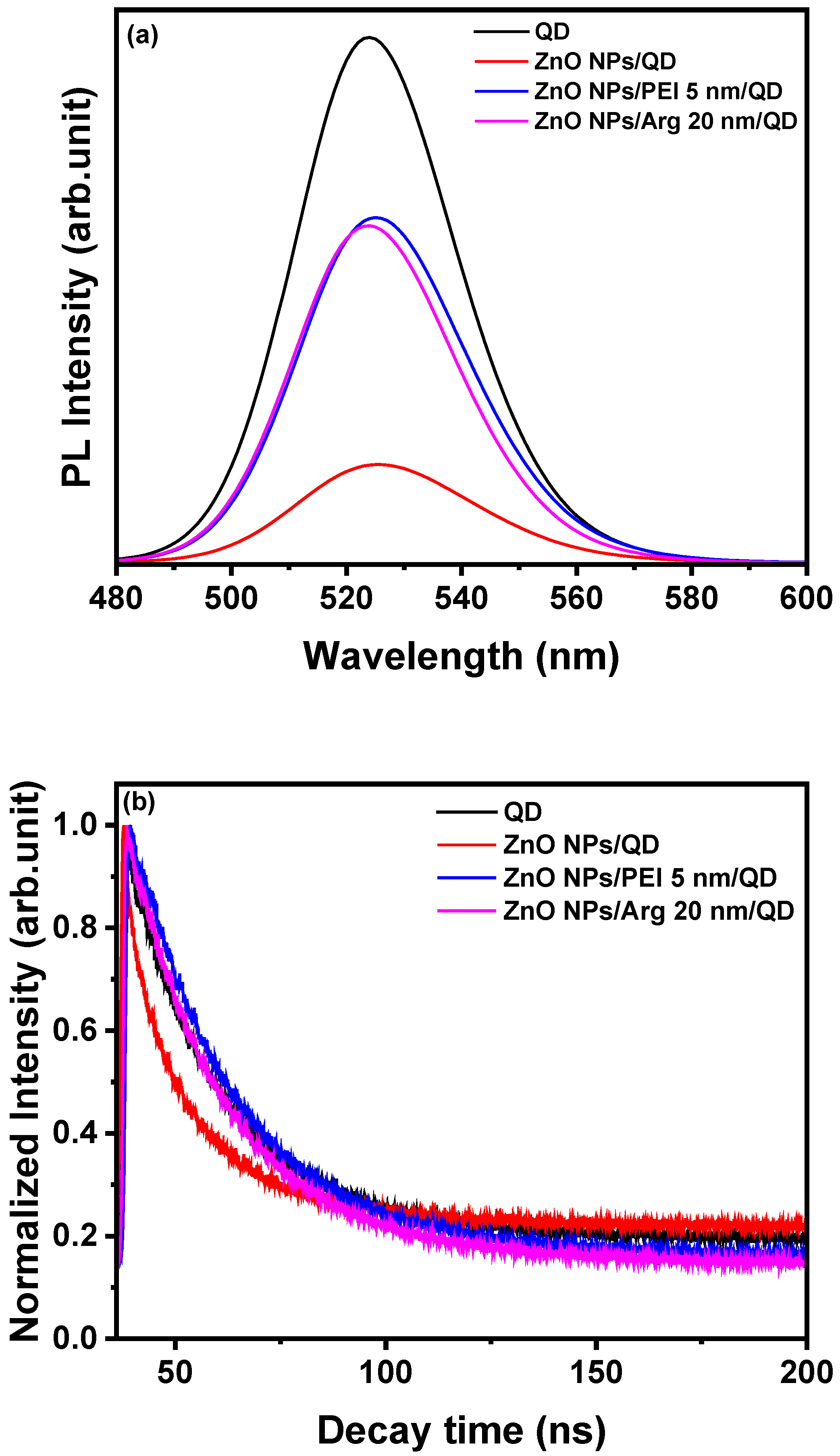 Nanomaterials 14 00266 g005