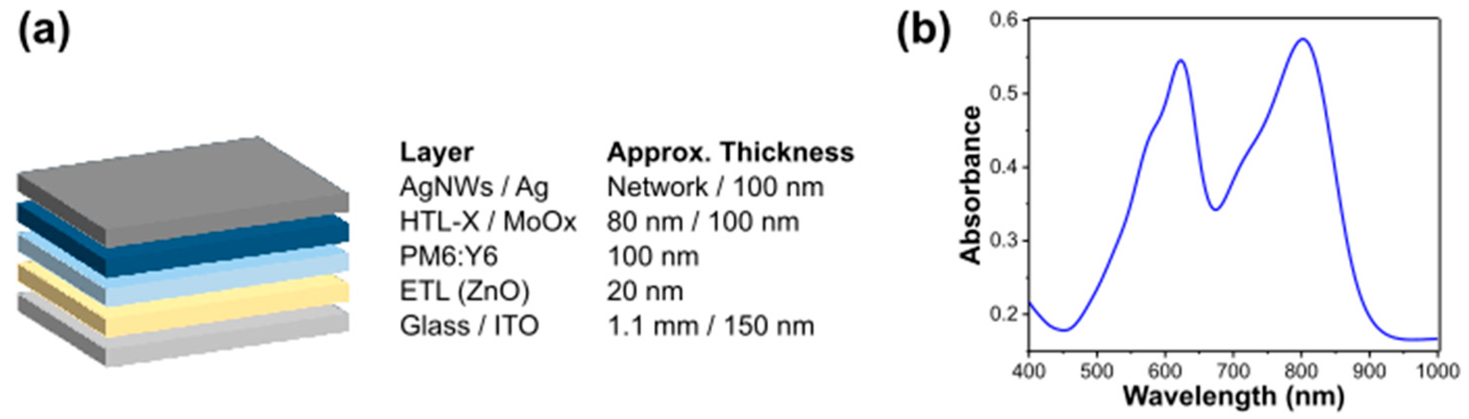 Nanomaterials 14 00269 g001