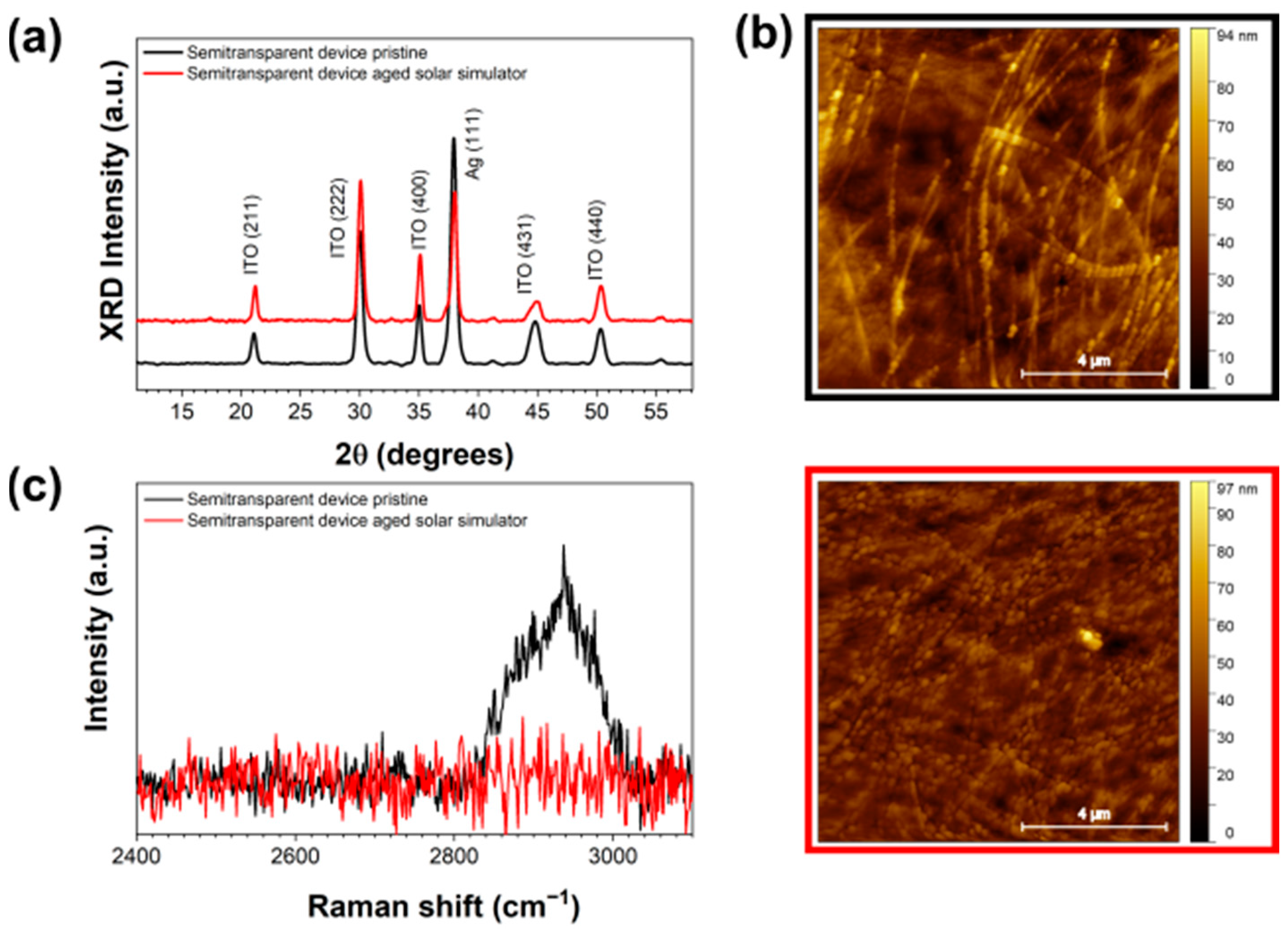 Nanomaterials 14 00269 g003