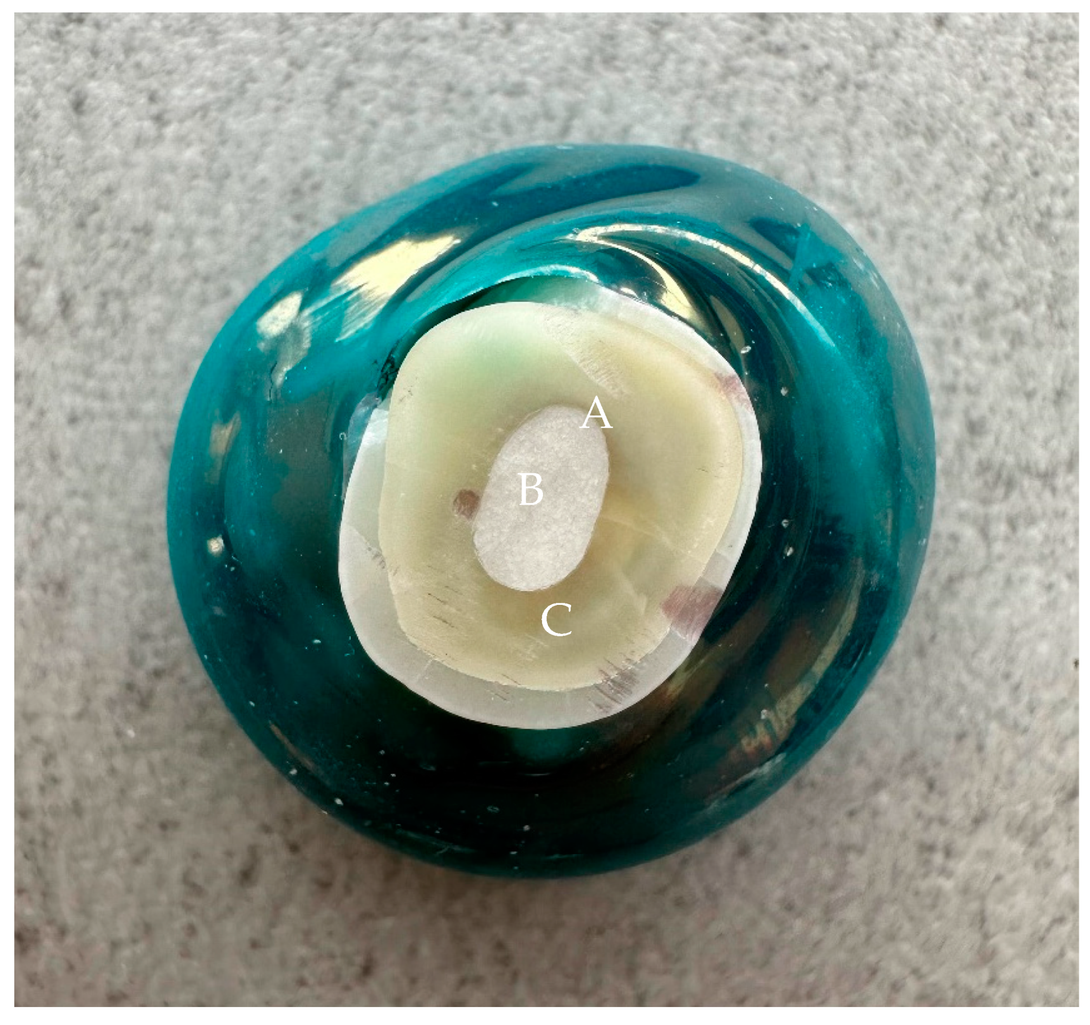 Nanomaterials 14 00274 g001