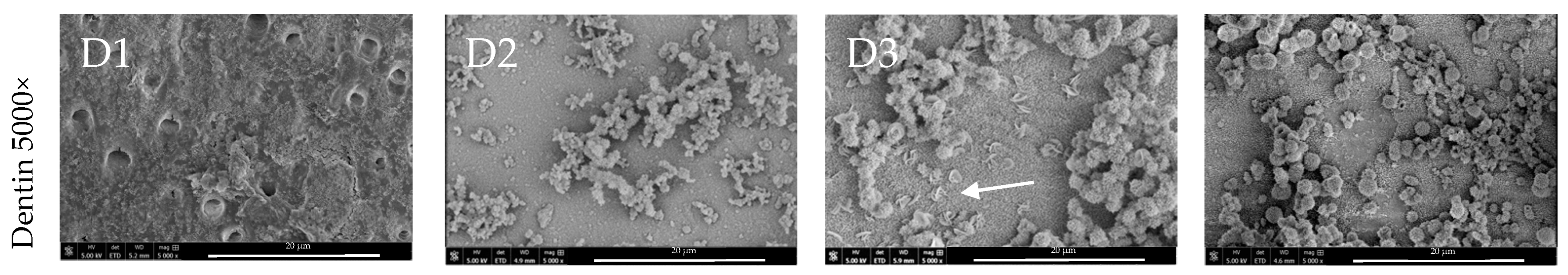 Nanomaterials 14 00274 g003b