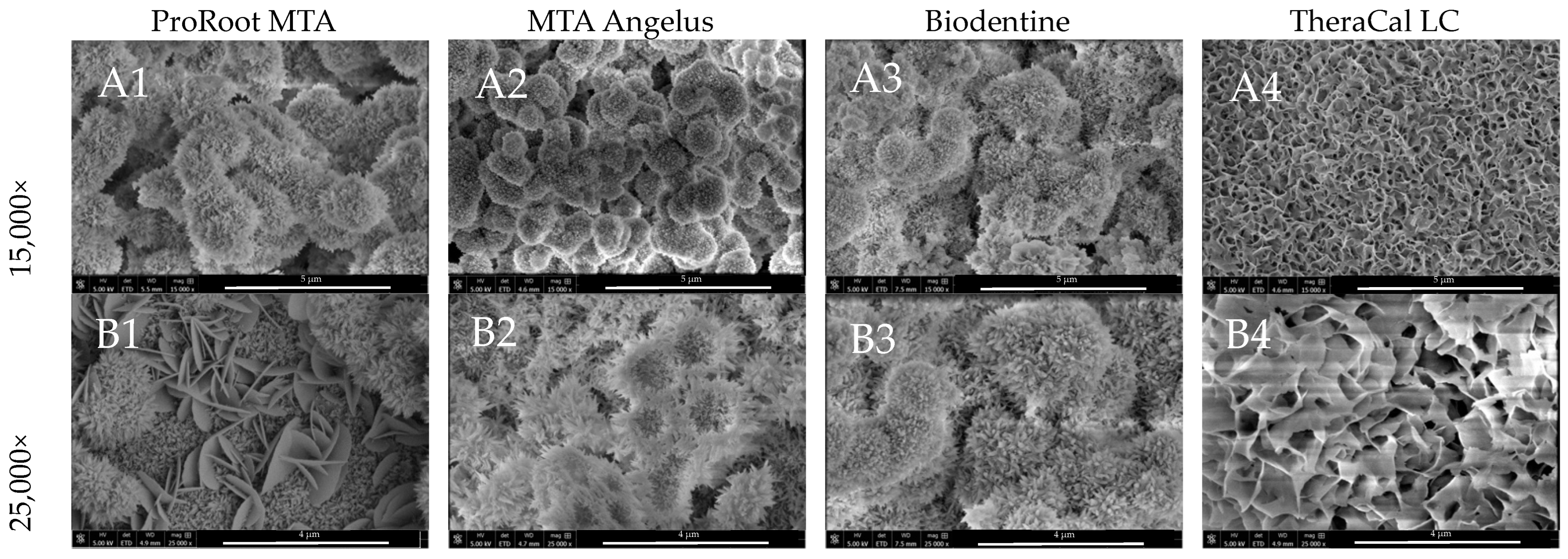 Nanomaterials 14 00274 g007