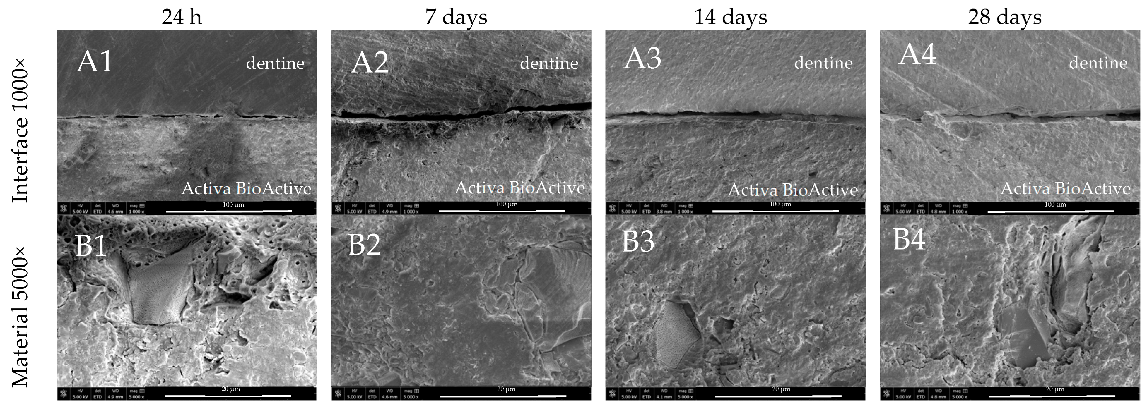 Nanomaterials 14 00274 g008a