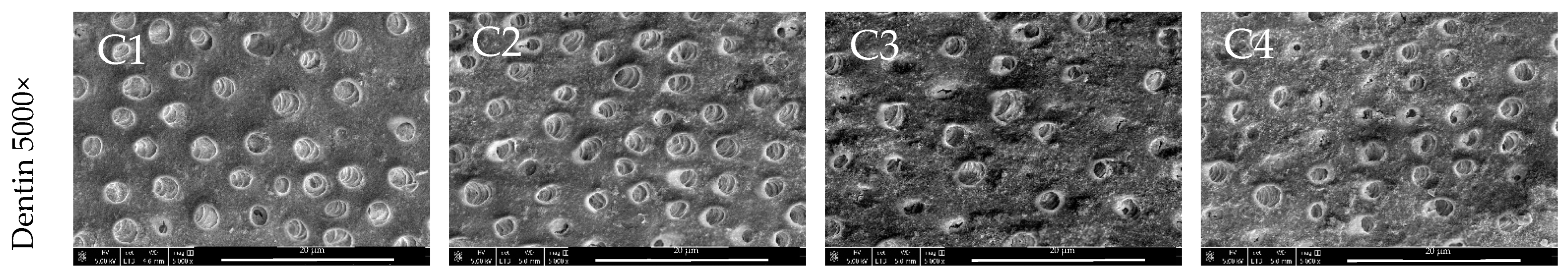 Nanomaterials 14 00274 g008b