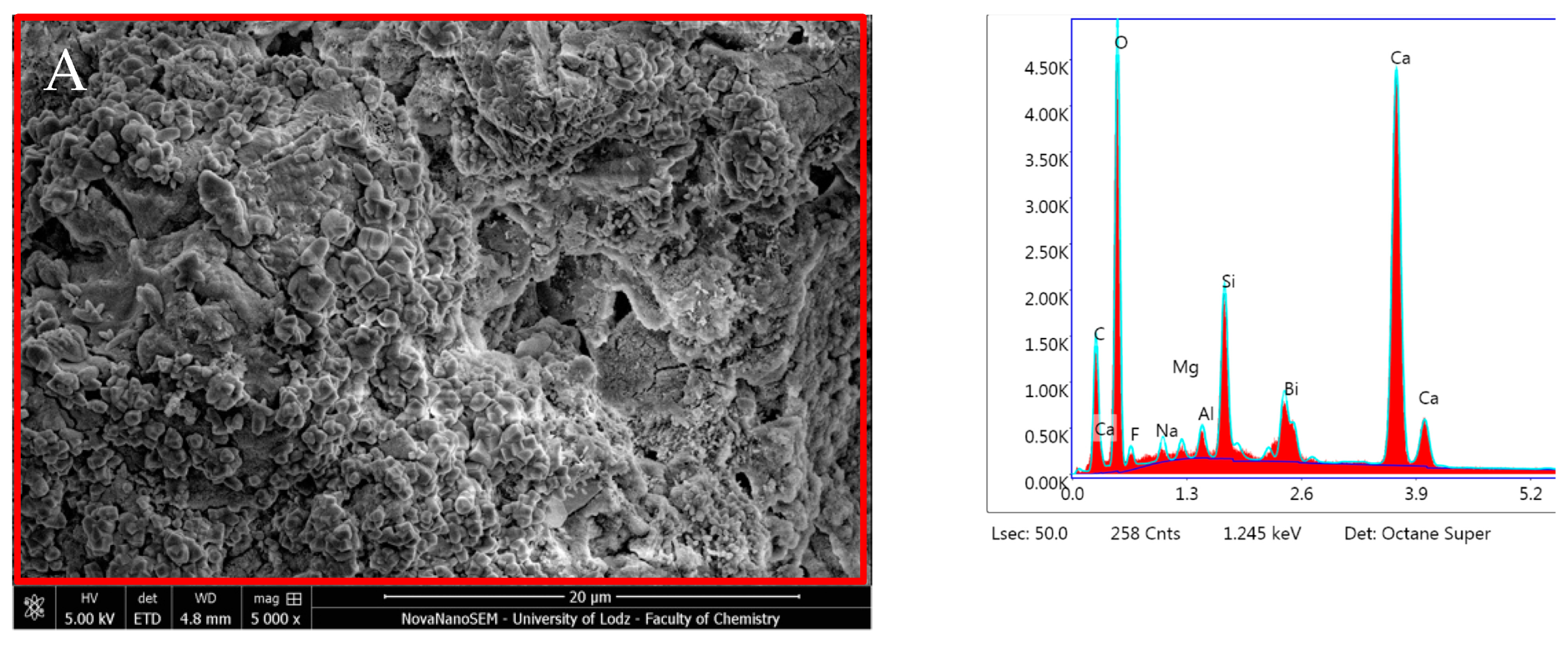 Nanomaterials 14 00274 g011a
