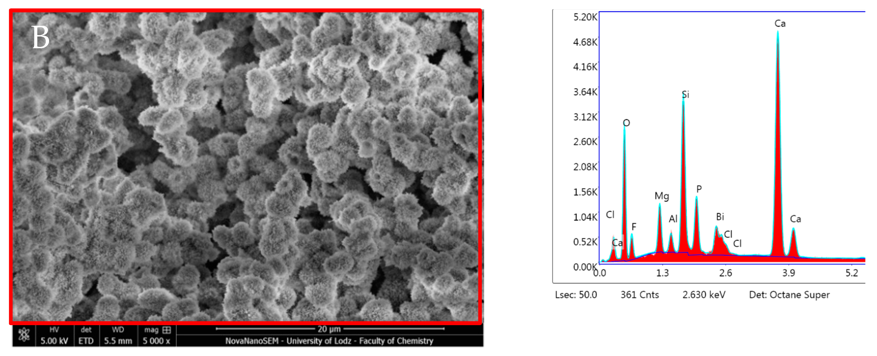 Nanomaterials 14 00274 g011b