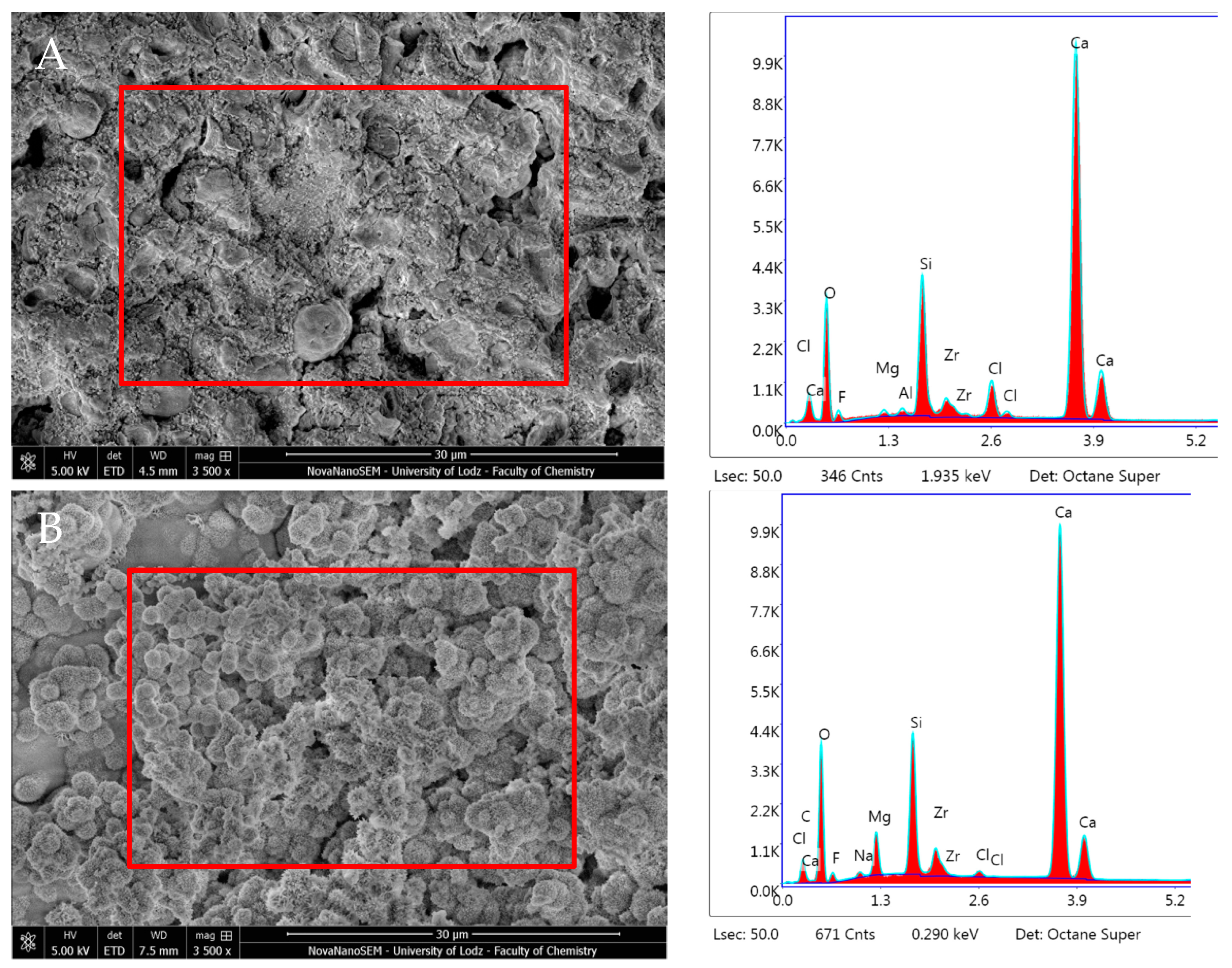 Nanomaterials 14 00274 g013
