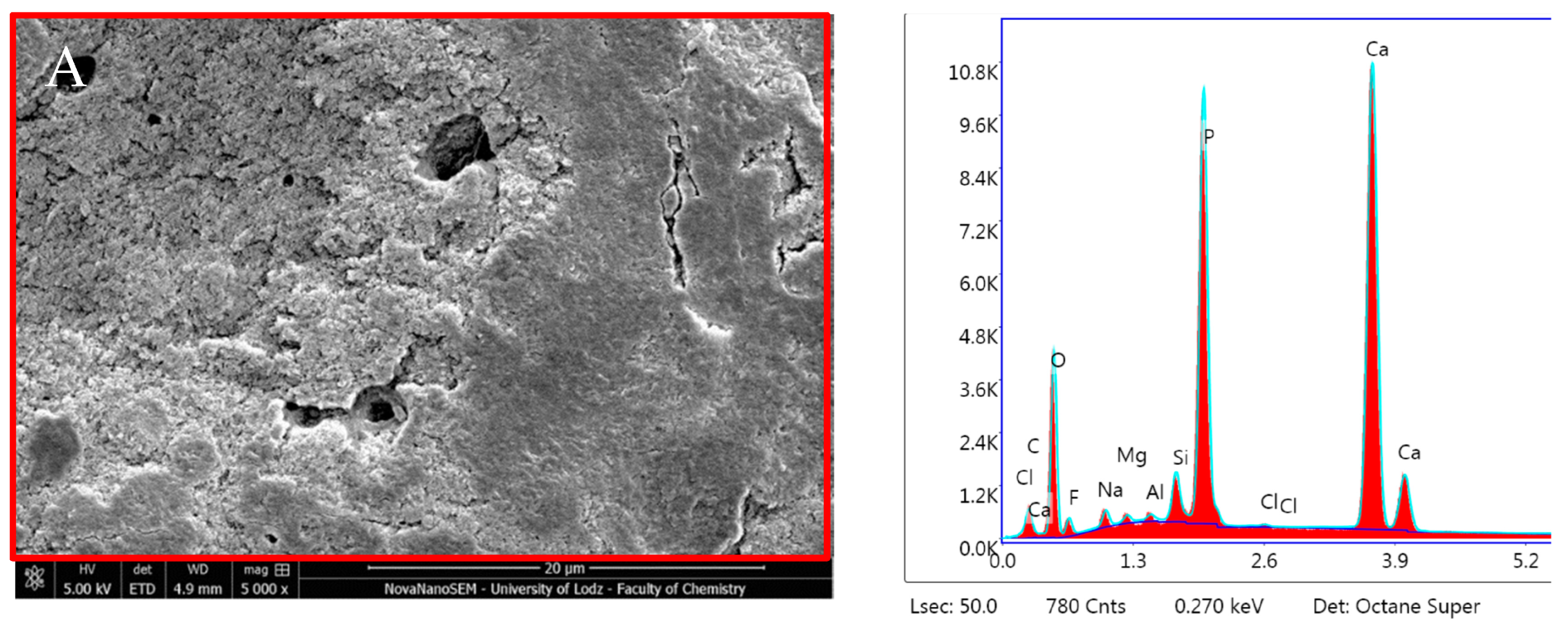 Nanomaterials 14 00274 g014a