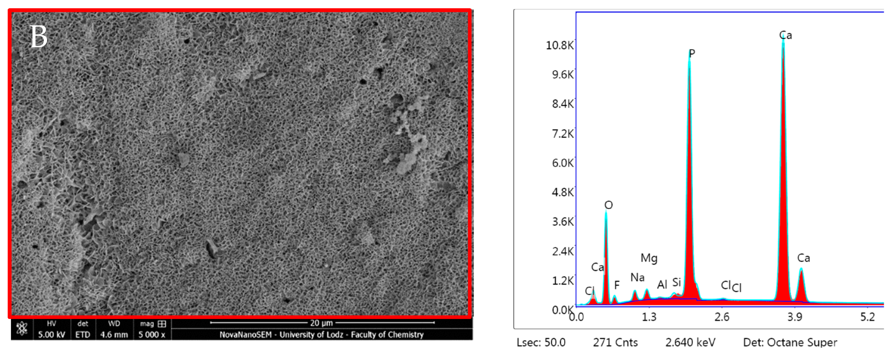 Nanomaterials 14 00274 g014b