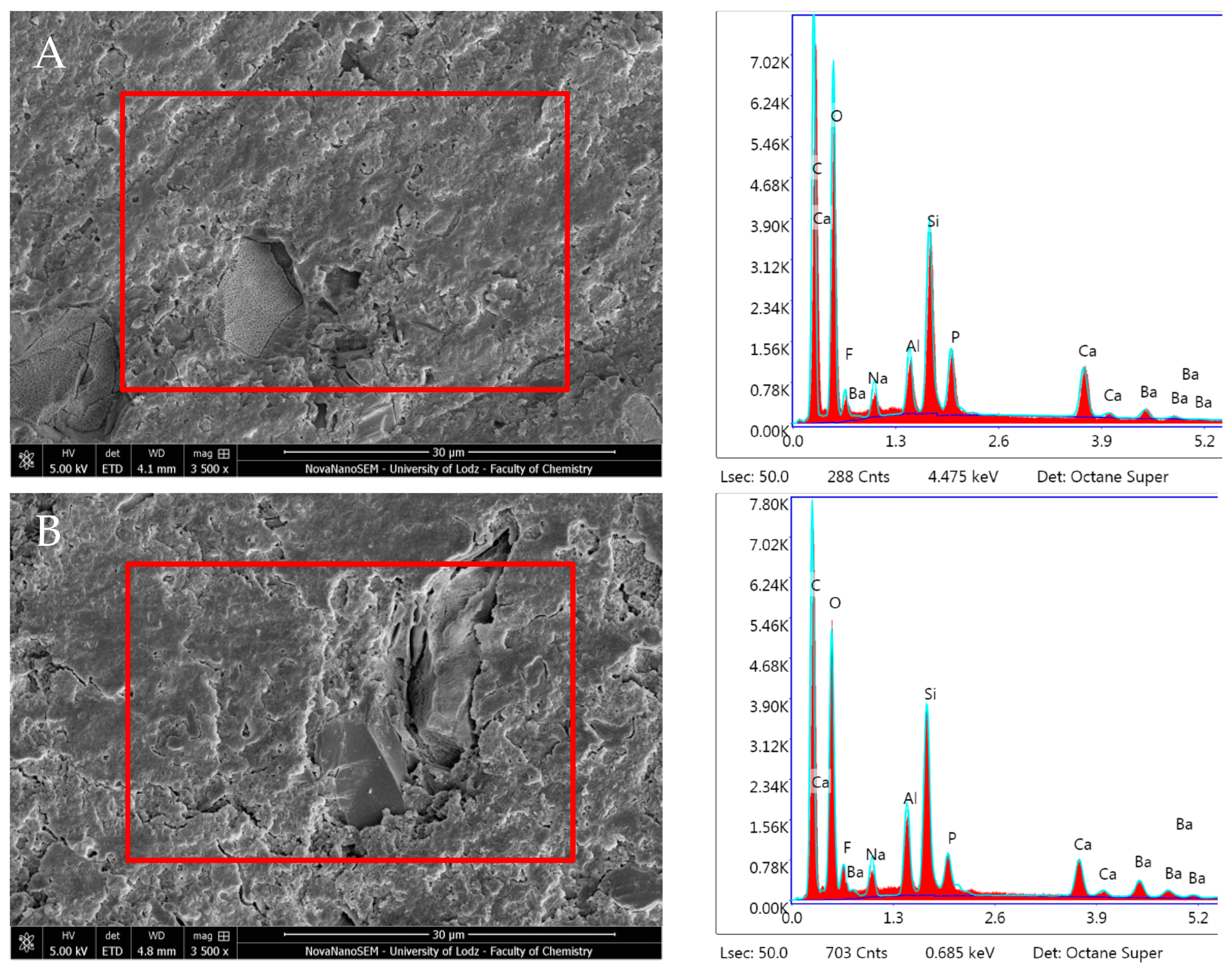 Nanomaterials 14 00274 g015