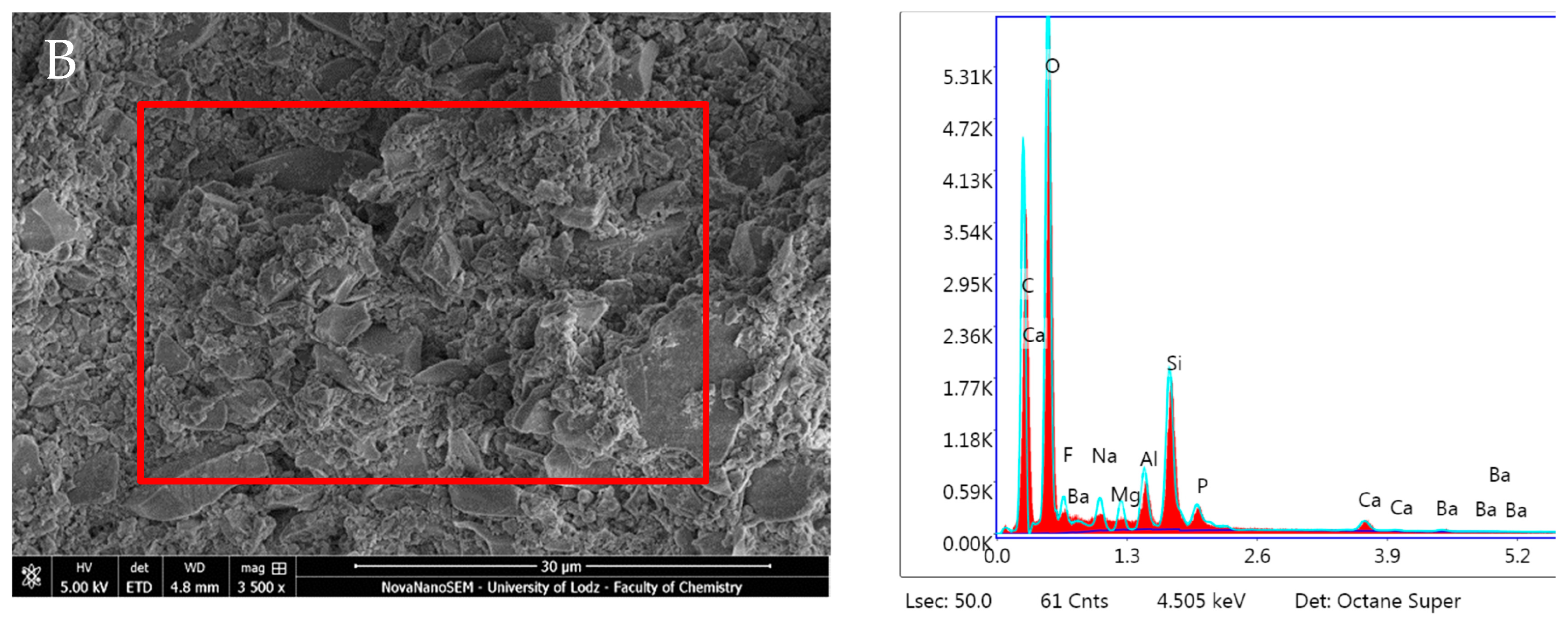 Nanomaterials 14 00274 g017b