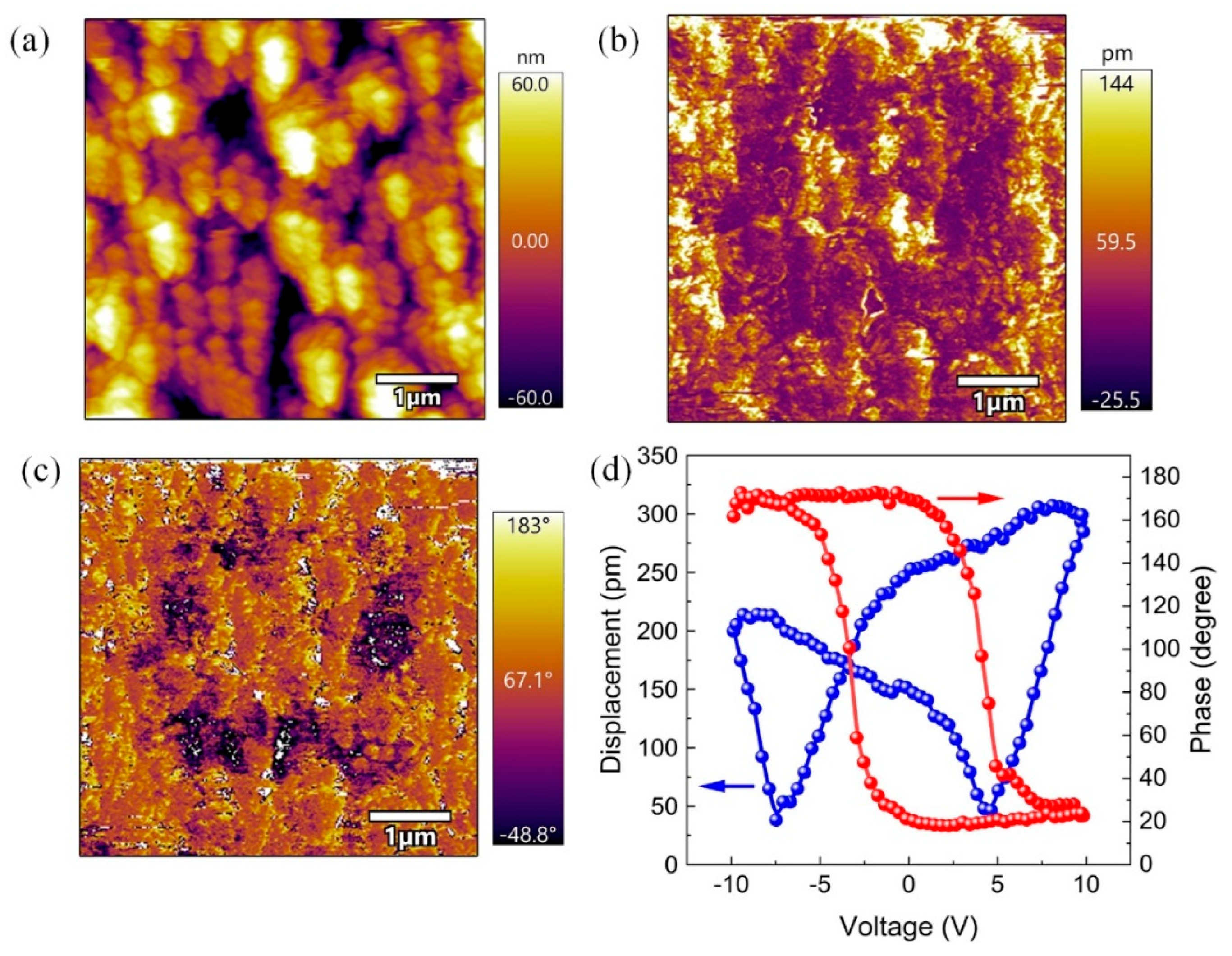 Nanomaterials 14 00276 g004
