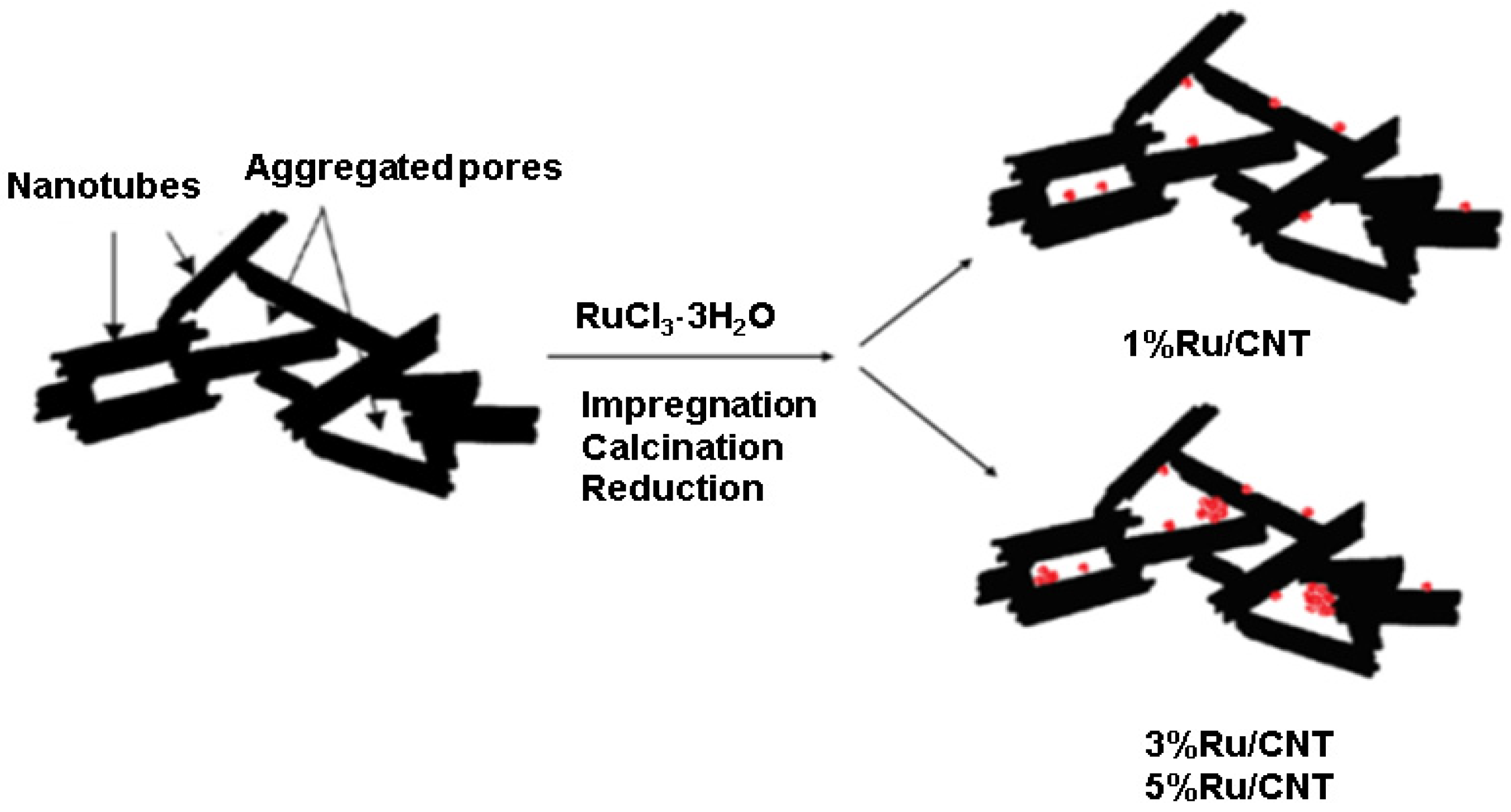 Nanomaterials 14 00277 g001