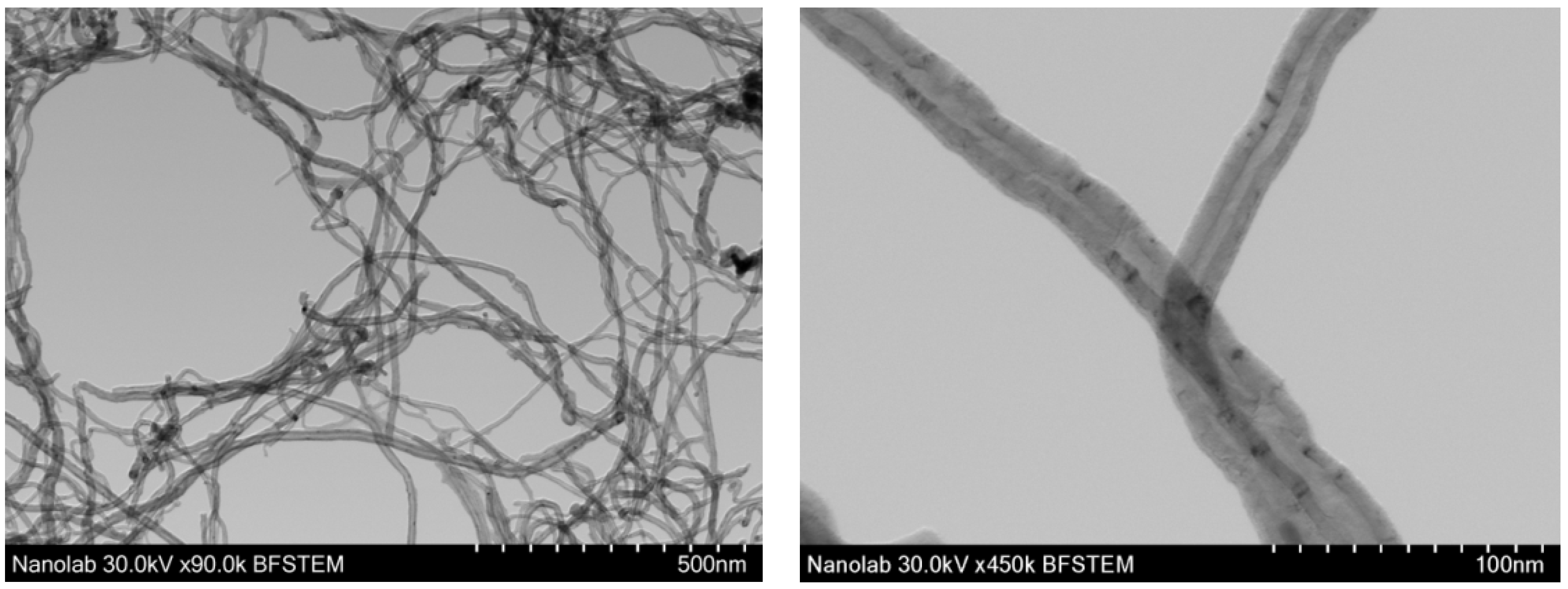Nanomaterials 14 00277 g003