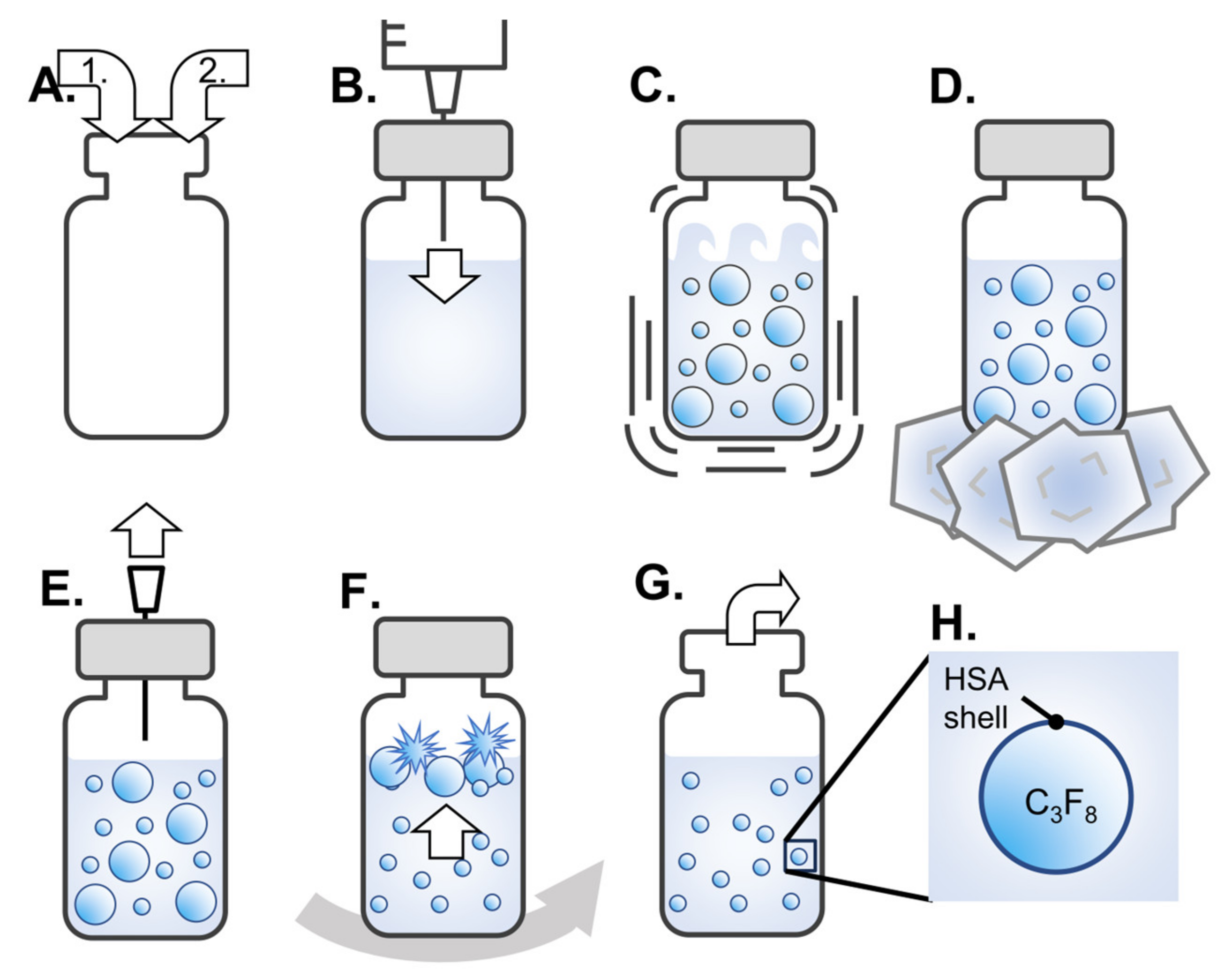 Nanomaterials 14 00285 g001