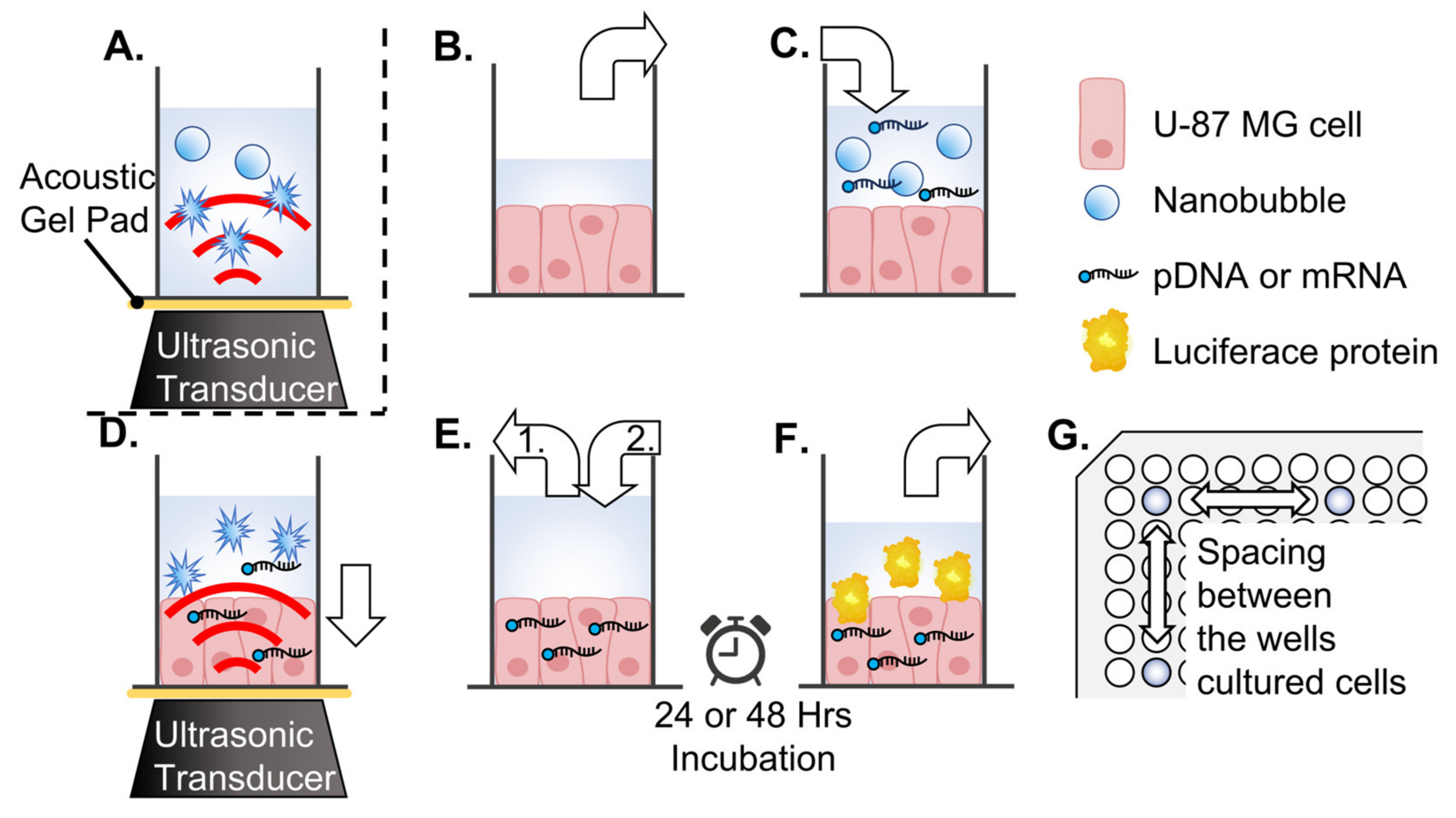 Nanomaterials 14 00285 g002