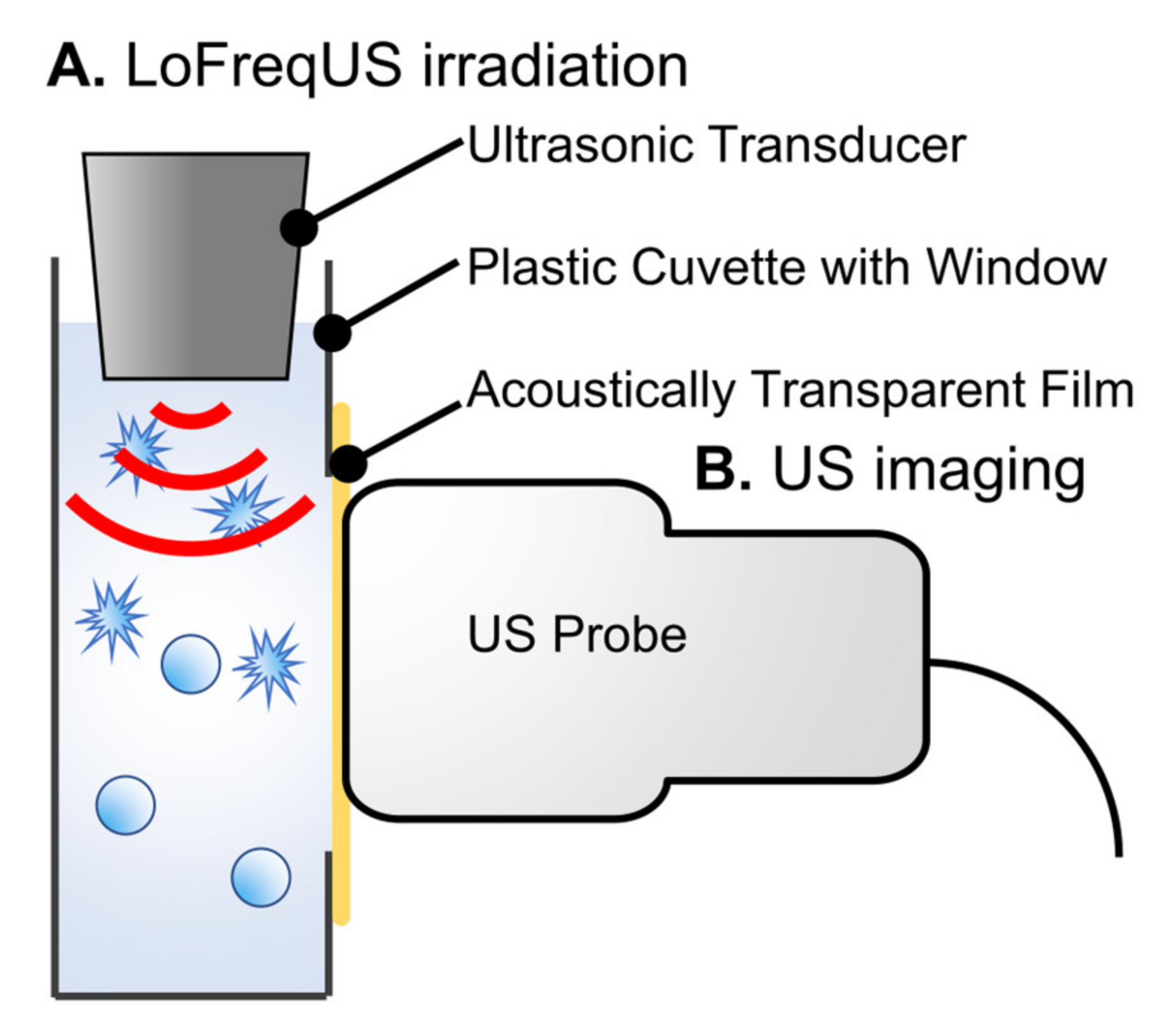Nanomaterials 14 00285 g003