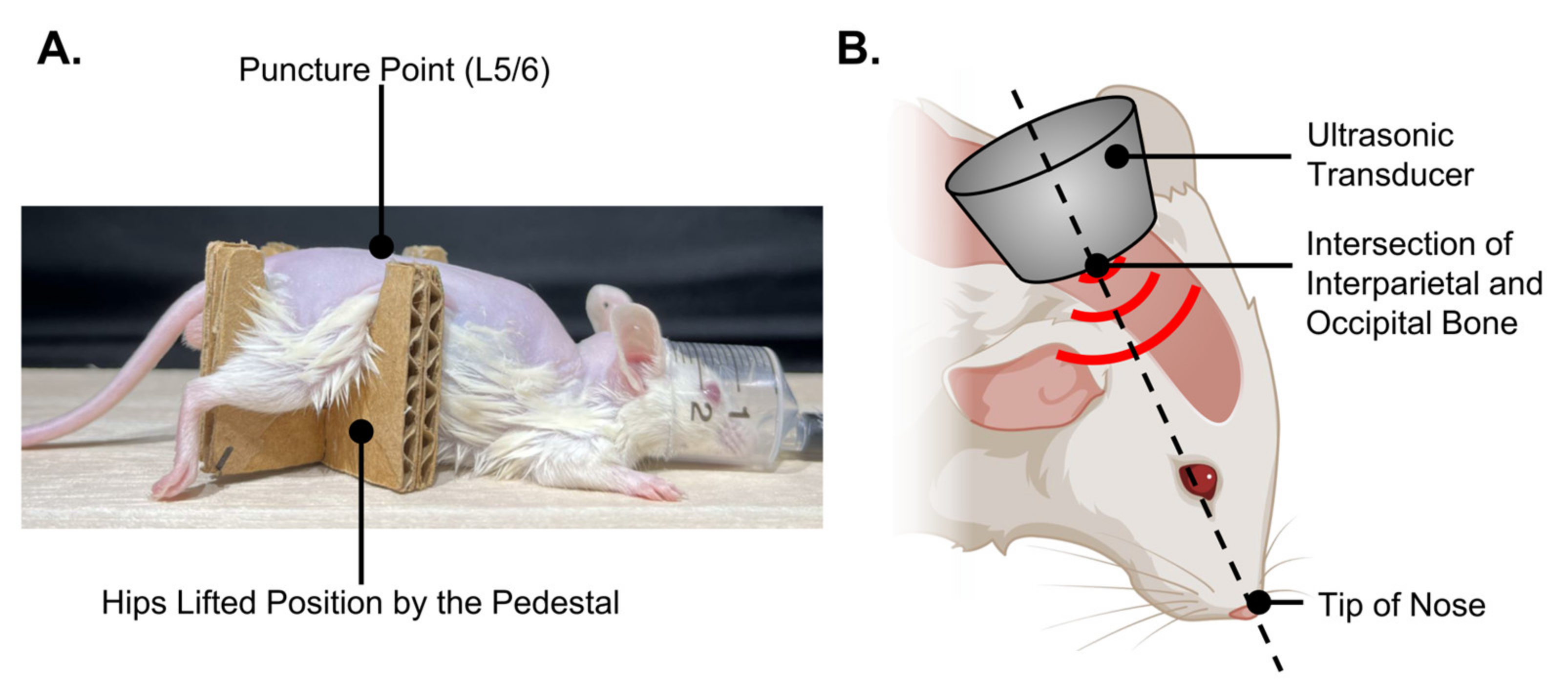 Nanomaterials 14 00285 g004