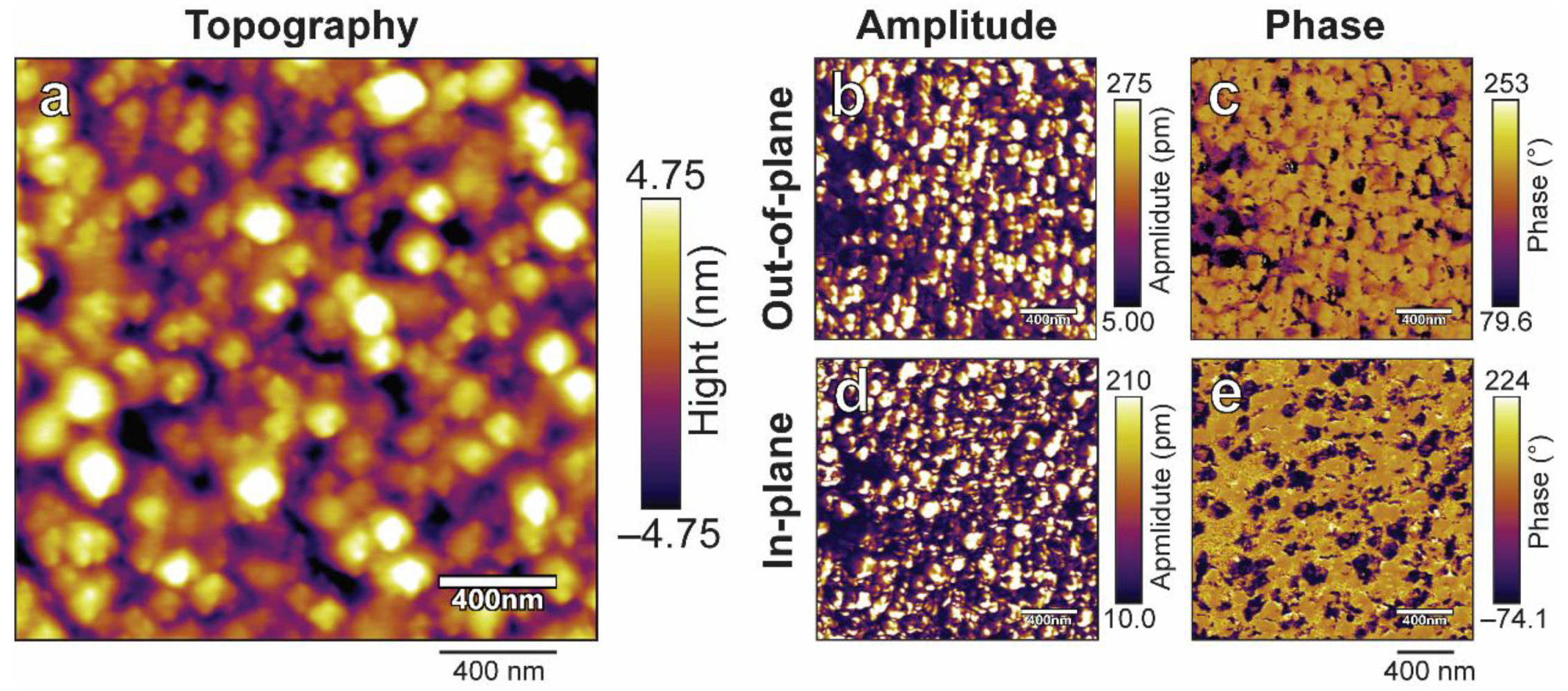 Nanomaterials 14 00288 g005
