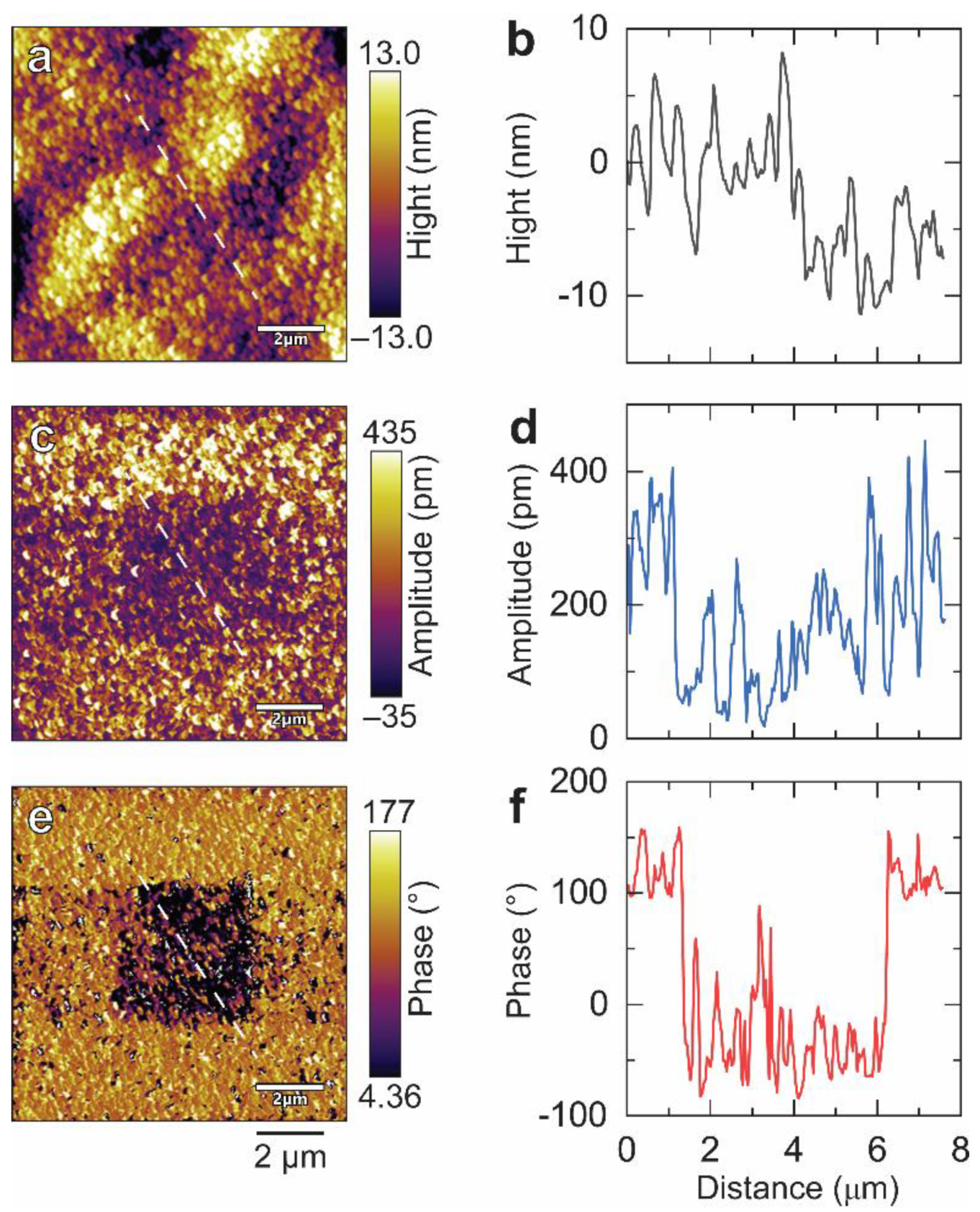 Nanomaterials 14 00288 g006