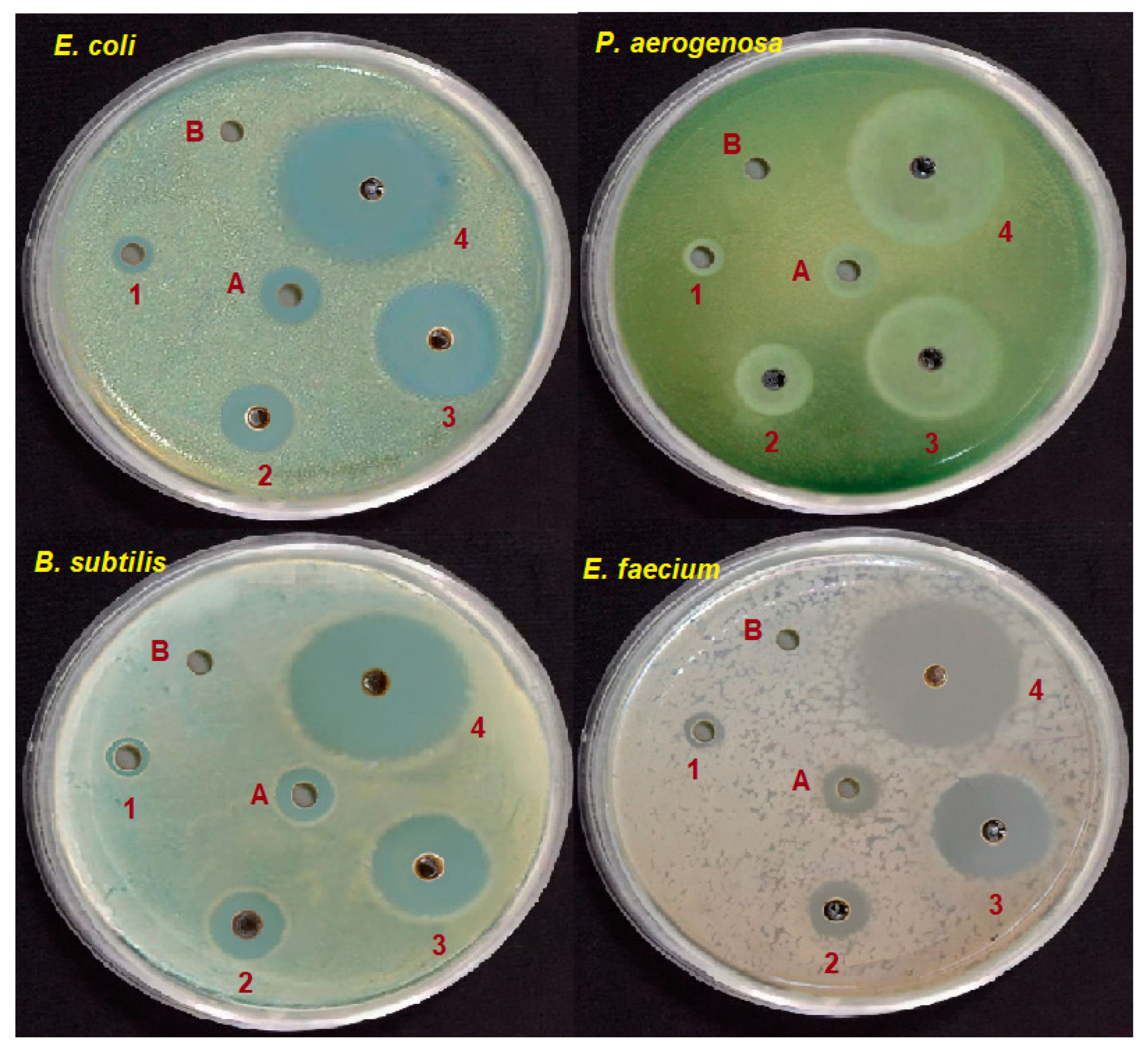 Nanomaterials 14 00289 g010