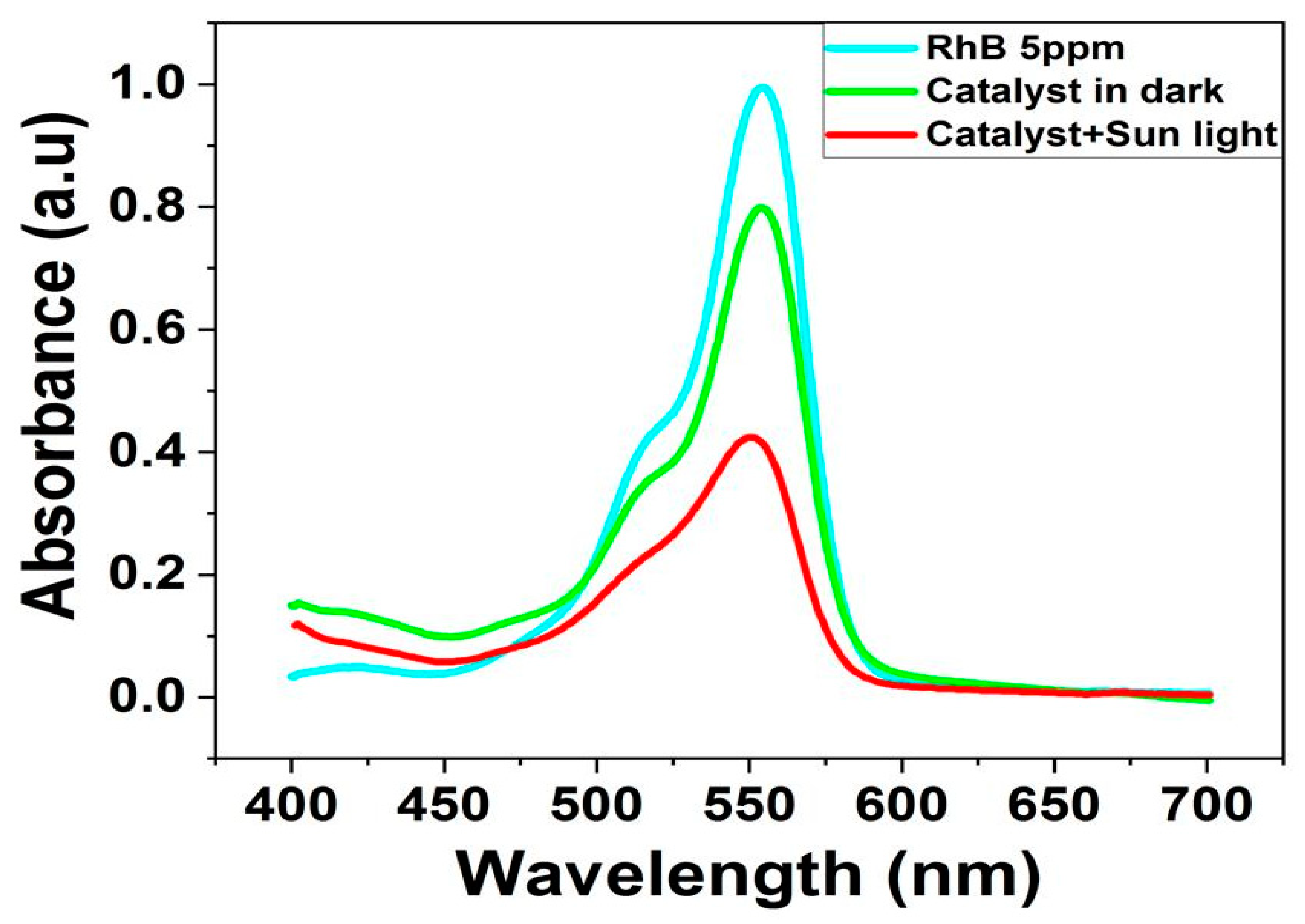 Nanomaterials 14 00289 g013