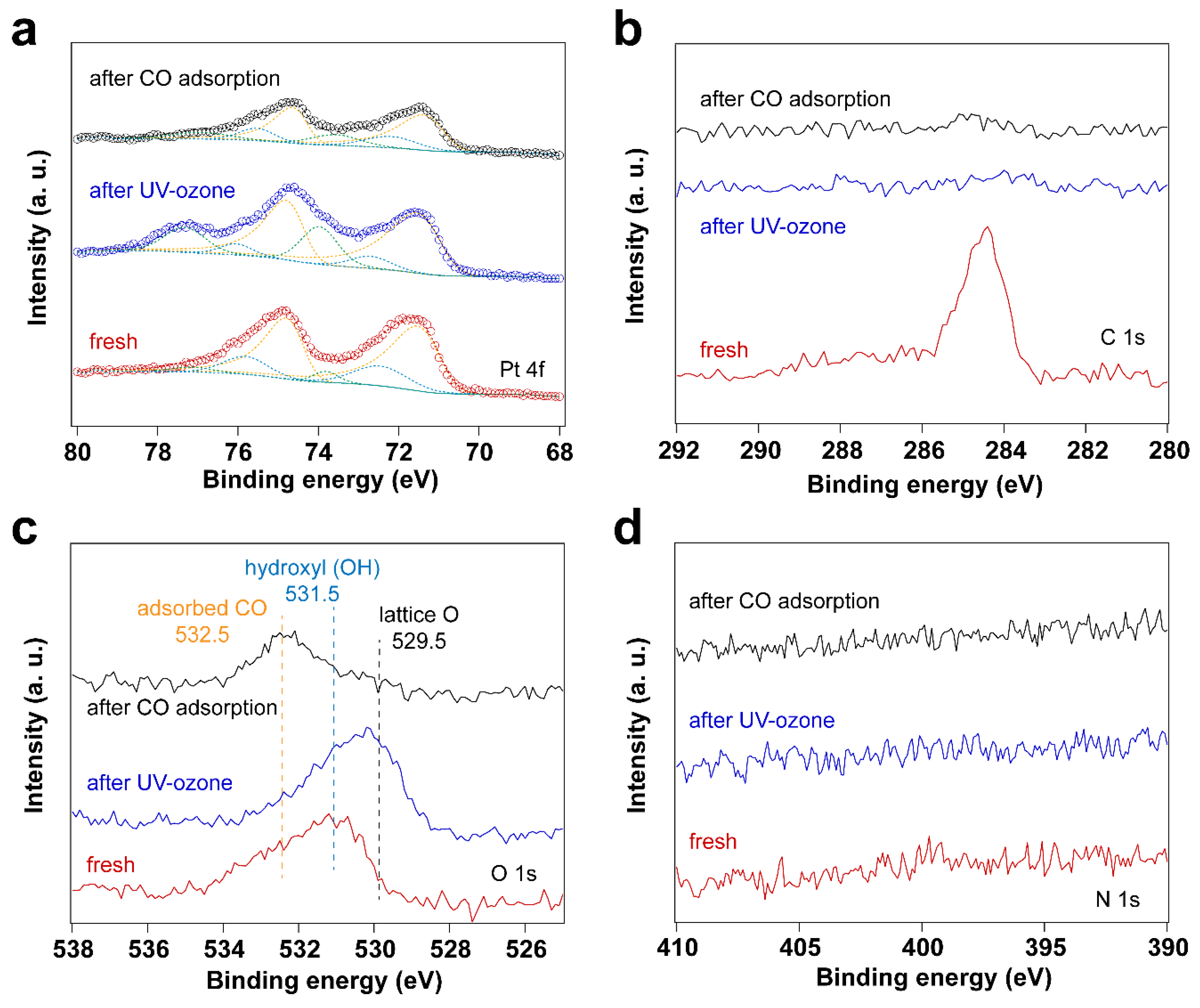 Nanomaterials 14 00290 g001