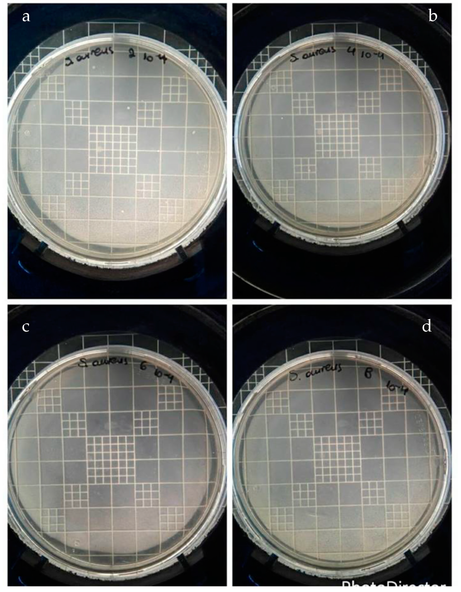 Nanomaterials 14 00291 g009